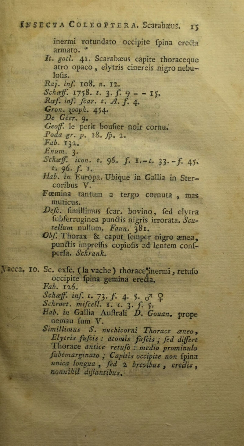 inermi rotundato occipite fpina erefta armato. * It. gotl. 41. Scarabaeus capite thoraceque atro opaco, elytris cinereis nigro nebu- lofis. Raj. inf. 108. n. 12. Schaff. 1758. t. 3. /. 9 - - IJ, Rcef. inf. fcar. t. A. f. 4. Gron. \ooph. 454« JDe Geer. 9. Geoff. le petit boufier noir cornu,’ Poda gr. p. 18. fp. 2. Fab. 132. Enum. 3. Schaff. icon. t. ffs. f. l.-t. 33.-f. 45; t. 96. f. I. Hab. in Europa, Ubique in Callia in Ster- coribus V. Foemina tantum a tergo cornuta , raas; muticus. Defc. fimillimus fcar. bovino, fed elytra fubferruginea pun&is nigris irrorata, Scu- tellum nullum. Faun. 381. Obf. Thorax & caput femper nigro aenea, punftis impreffis copiofis ad lentem conf- perfa. Sclirank. A acc3» 10. Sc. exfc. (lavache) thorace*mermi, retufo occipite fpina gemina ereda. Fab. 116. Schaff. inf. t. 73./. 4. Schroet. mifcell. I. t. 3. f. 5. Hab. in Gallia Auflrali D. Gouan, prope nemau fum V. Simillimus S. nuchicorni Thorace aneo, Elytris fufcis : atomis fufcis ; fed differt I horaee antice retufo : medio prominulo fubemarginato • Capitis occipite non fpina unica longua , fed 2 brevibus , eredis, nonnihil dijiantibus.