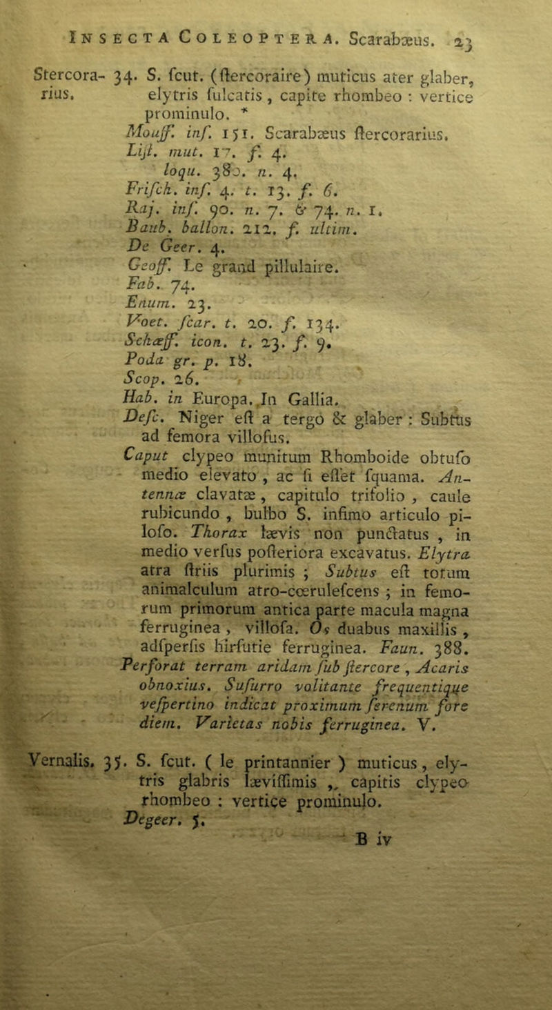 Stercora- 34. S. fcut. (ftercoraire) muticus ater glaber, xius. elytris fulcatis , capite rhombeo : vertice prominulo. * Moujf. inf. 15 r. Scarabaeus ftercorarius. Lijl. mut. 17. f. 4. loqu. 380. n. 4. Frijck. inf 4. t. 13. /. 6. Raj. inf. 90. n. 7. 6' 74. 11. I. Banb. ballon. 212. f. ultini. De Geer. 4. Geoff. Le grand pillulaire. Fab. 74. Enum. 23. Foef. /cvzr. f. 20. /. 134. Sckrkff. icon. t. 23. /. 9. Poda gr. p. 18. Scop. 26. Hab. in Europa..In Gallia. Defc. Niger efl: a tergo & glaber : Subtus ad femora villofus. Caput clypeo munitum Rhomboide obtufo medio elevato , ac fi elfet fquama. An- tenna clavatae , capitulo trifolio , caule rubicundo , bulbo S. infimo articulo pi- lofo. Thorax laevis non punciatus , in medio verfus pofteriora excavatus. Elytra. atra ftriis plurimis ; Subtus eft totum animalculum atro-coerulefcens ; in femo- rum primorum antica parte macula magna ferruginea , villofa. Os duabus maxillis , adfperfis hirfutie ferruginea. Faun. 388. Perforat terram aridam fub jiercore , Acaris obnoxius. Sufurro volitante frequcntiqite vefpertino indicat proximum ferenum fors diem. Varietas nobis ferruginea. V. Vernalis. 35* S. fcut. ( le printannier ) muticus, ely- tris glabris laeviflimis ,, capitis clypeo rhombeo : vertice prominulo. Degeer. 5.