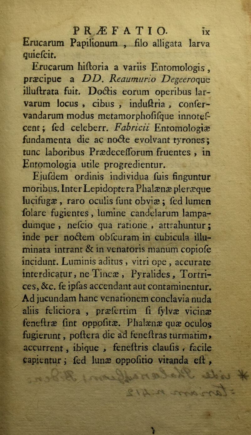 Erucarum Papilionum , filo alligata larva quiefcit. Erucarum hiftoria a variis Entomologis, prscipuc a DD. Reaumurio Degeeroquc illuftrata fuit. Doctis eorum operibus lar- varum locus , cibus , induftria , confer- vandarum modus metamorphofifque innotef- cent; fed celeberr. Fabricii Entomologise fundamenta die ac no&e evolvanttyrones; tunc laboribus PrsedecelTorum fruentes , in Entomologia utile progredientur. Ejufdem ordinis individua fuis finguntur moribus. Inter LepidopteraPhalasnae pleraque lucifugae, raro oculis funt obviae; fed lumen folare fugientes, lumine candelarum lampa- dumque , nefcio qua ratione * attrahuntur; inde per no£tem obfcuram in cubicula illu- minata intrant & in venatoris manum copiofe incidunt. Luminis aditus , vitri ope , accurate interdicatur, ne Tincae , Pyralides, Tomi- ces, &c. fe ipfas accendant aut contaminentur. Ad jucundam hanc venationem conclavia nuda aliis feliciora , praefertim fi fylvae vicinae feneftrae fint oppofitae. Phalsense quae oculos fugierunt, poftera die ad feneftras turmatim» accurrent, ibique , fenefiris claufis , facile capientur; fed luna? oppofitio vitanda eft ,