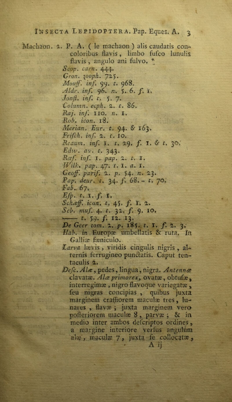Machaon, 2. P. A. ( le machaon ) alis caudatis con- coloribus flavis, limbo fufco lunulis flavis, angulo ani fulvo. * Scop. carri. 444* Gron. \ooph. 725. Moujf. in/'. 99. t. 968. Aldr. in/. 96. n. 5* 6. f. i. Jonji. inf. t. J. 7. Column. ecpk. 2. t. 86. Raj. inf. 110. n. 1. Rob. icon. 18. Merian. Enr. t. 94* & I^3° Frifch, inf, 2. t. IO. Reaum. inf. I. t. 29. f I. & t. 30,' Edw. av. t. 343- Rcef inf. I. pap. 2. t. I. IVilk. pap. 47. t. I. a. I. Geoff. parif. 2. p. 54- n- a3* Pap. deur, t. 34. /i 68. - t. 70. JFaZ».. 67. Efp. t. I. f. I. Schajf, icon, t. 45. f. I. 2. Seb. rtiuf. 4« 32.* f- 9. IO» ■ t. 59. /. 12. 13. X)e Geer tom. 2. p. 185. t. I. /*. 2. 3. Hab. in F.urop?e umbellatis & ruta. Ia Galliae feniculo. Larva laevis , viridis cingulis nigris , al- ternis ferrugineo punctatis. Caput ten- taculis 2. Vefc.Alx, pedes, lingua, nigra. Antenna clavatae. Ala primores, ovatae, obtufe, interregimae, nigro flavoque variegatae , feu nigras concipias , quibus juxta marginem craffiorem maculae tres, lu- nares , flavae ; juxta marginem vero pofleiiorem maculae 8 , parvae ; & in medio inter ambos defcriptos ordines, a margine interiore verius angulum alee, maculae 7, juxta fe collocatae, A ij