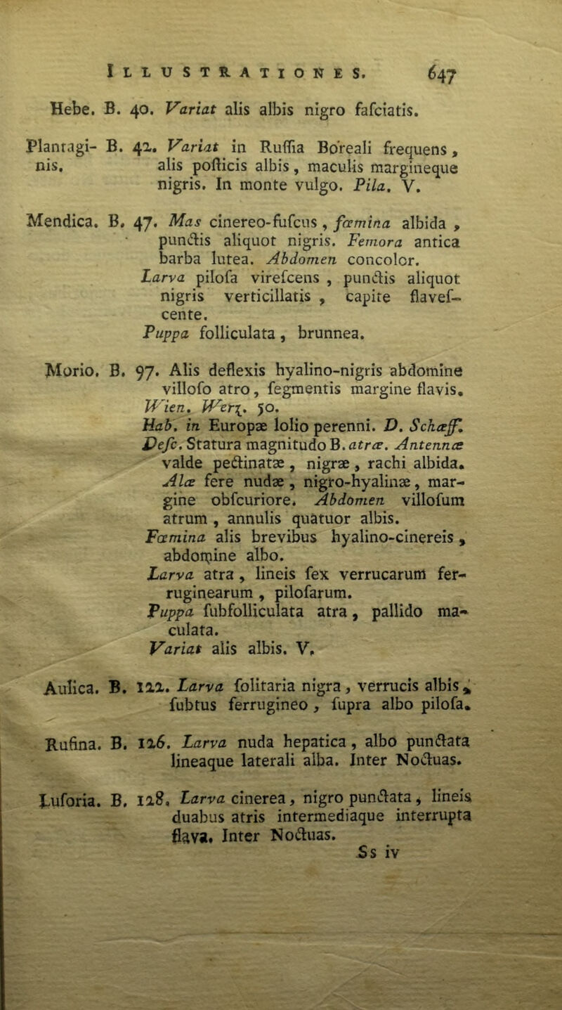 Illustrationes. 6 47 Hebe. B. 40. Variat alis albis nigro fafciatis. Planragi- B. 41. Variat in Rufiia Boreali frequens, nis, alis pollicis albis, maculis margineque nigris. In monte vulgo. Pila. V. Mendica. B. 47. Mas cinereo-fufcus , fcrmina albida , pun&is aliquot nigris. Femora anrica barba lutea. Abdomen concolor. Larva pilofa virefcens , pumftis aliquot nigris verticillatis , capite flavef- cente. Puppa folliculata, brunnea. Morio. B. 97. Alis deflexis hyalino-nigris abdomine villofo atro, fegmentis margine flavis. Wien. fVer[. 50. Hab. in Europae lolio perenni. D. Schccjf. JPefc. Statura magnitudo B. atrce. Antennce valde pe&inatse , nigrae , rachi albida. Alce fere nudae, nigro-hyalinae, mar- gine obfcuriore. Abdomen villofum atrum , annulis quatuor albis. Fcemina alis brevibus hyalino-cinereis, abdon^ine albo. Larva atra , lineis fex verrucarum fer- ruginearum , pilofarum. Puppa fubfolliculata atra, pallido ma- culata. Variat alis albis. V, Aulica. B. 111. Larva folitaria nigra, verrucis albis* fubtus ferrugineo , fupra albo pilofa. Rufina. B. 116. Larva nuda hepatica, albo pun&ata lineaque laterali alba. Inter Noctuas. Euforia. B, iafl. Larva cinerea, nigro pun&ata * lineis duabus atris intermediaque interrupta flava. Inter No&uas.