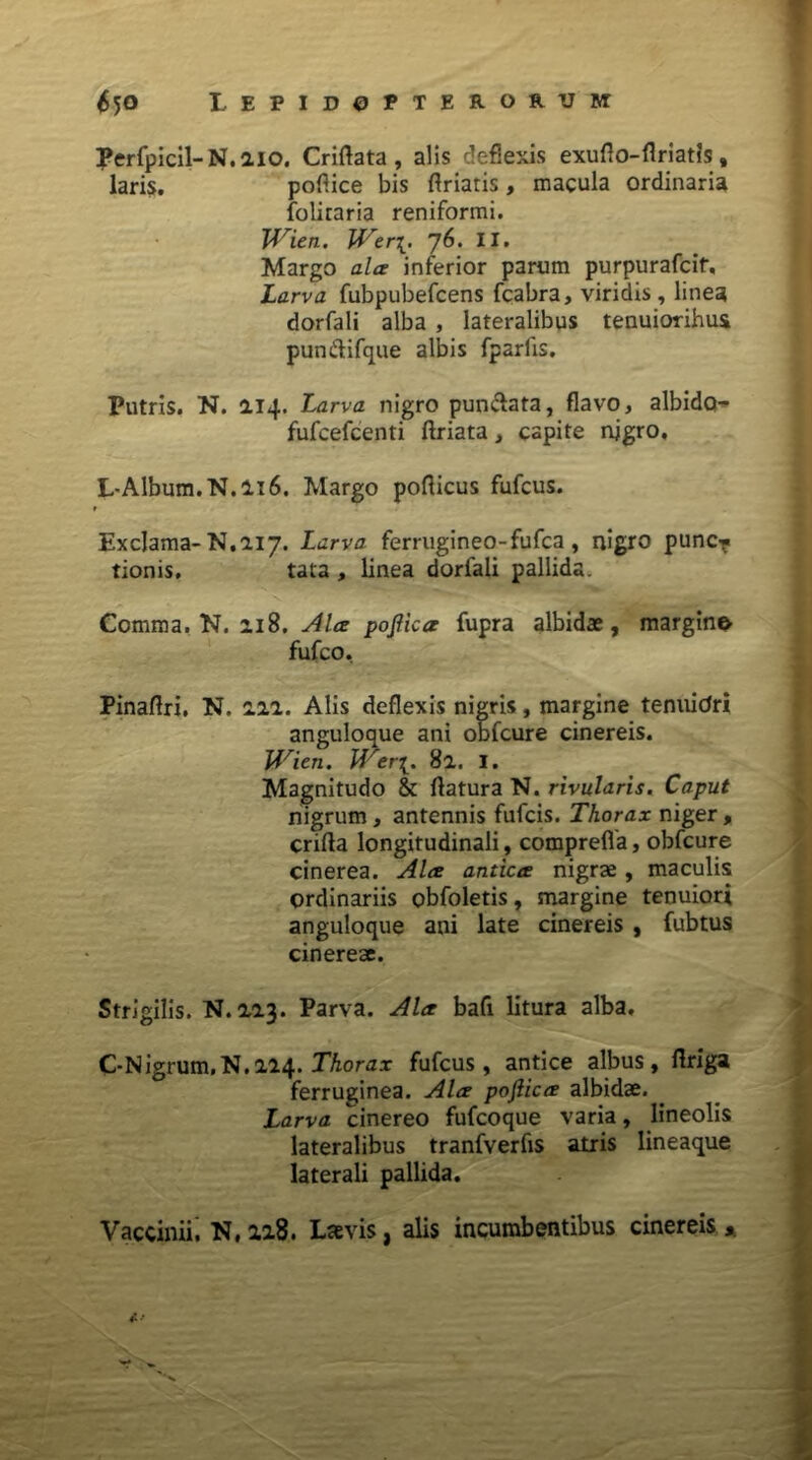 Perfpicil-N.aio. Criflata, alis deflexis exuflo-flriatfs # laris. poflice bis flriatis, macula ordinaria foliraria reniformi. Wien. Wer[. 76. II. Margo alce inferior parum purpurafcif. Larva fubpubefcens fcabra, viridis, linea dorfali alba , lateralibus tenuiorihus pun&ifque albis fparfis. Putris. N. 114. Larva nigro punclata, flavo, albido- fufcefcenti flriata, capite njgro, L-Album.N.li6. Margo poflicus fufcus. r Exclama-N. 217. Larva ferrugineo-fufca , nigro puncT tionis. tata , linea dorfali pallida. Comma. N. 218. Alce poftica fupra albidae, margino fufco, Pinaflri. N. 222. Alis deflexis nigris, margine tenuidri anguloaue ani obfcure cinereis. Wien. JVer[. 82. I. Magnitudo & flatura N. rivularis. Caput nigrum, antennis fufcis. Thorax niger, crifla longitudinali, comprefla, obfcure cinerea. Alce anticee nigrae , maculis ordinariis obfoletis, margine tenuiori anguloque ani late cinereis , fubtus cinereae. Strigilis. N. 223. Parva. Alce bafi litura alba. C-Nigrum.N.224. Thorax fufcus, antice albus, flriga ferruginea. Alce pojlicce albidae. Larva cinereo fufcoque varia, lineolis lateralibus tranfverfis atris lineaque laterali pallida. Vaccinii. N, 228. Laevis, alis incumbentibus cinereis