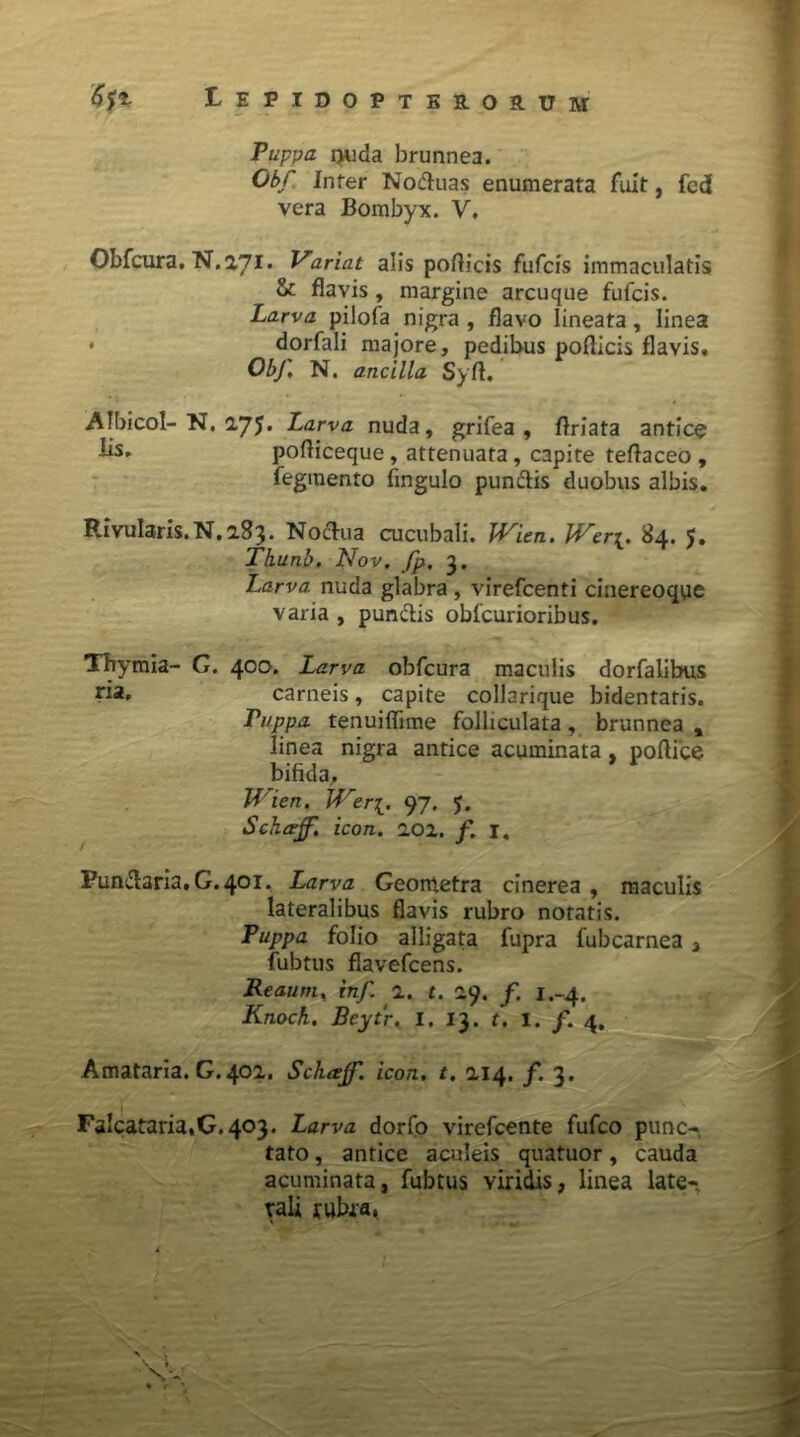 Puppa ljuda brunnea. Obf Inter Noftuas enumerata fuit, feci vera Bombyx. V. Obfcura. N.2,71. Variat alis podicis fufcis immaculatis & flavis , margine arcuque fufcis. Larva pilofa nigra , flavo lineata, linea • dorfali majore, pedibus podicis flavis, ObJ\ N. ancilla Syfl. Albicol-N. 275. Larva nuda, grifea , flriata antice podiceque, attenuata, capite tedaceo , fegmento fingulo punctis duobus albis. RfvuIaris.N.183. Noctua cucubali. JVien. W.eru 84. 5. Thunb. Nov. Jp, 3. Larva nuda glabra , virefcenti cinereoque varia , punctis obfcurioribus. Thymia- G. 400. Larva obfcura maculis dorfalibus r*a- carneis, capite collarique bidentaris. Puppa tenuiffime folliculata, brunnea , linea nigra antice acuminata, podice bifida, Wien. JVer{. 97. 5. Schcejf. icon. 202. f. j, Punidaria.G.401. Larva Geontetra cinerea, maculis lateralibus flavis rubro notatis. Puppa folio alligata fupra fubcarnea , fubtus flavefcens. Reaum, inf 2. t. 29. f. 1.-4, Knock. Beytr. I. 13. f. I. /. 4. Amataria. G. 402. Scharjf. icon. t. 214. f. 3. FaIcataria,G.403. Larva dorfo virefcente fufco punc- tato , antice aculeis quatuor, cauda acuminata, fubtus viridis, linea late- rali rubra.