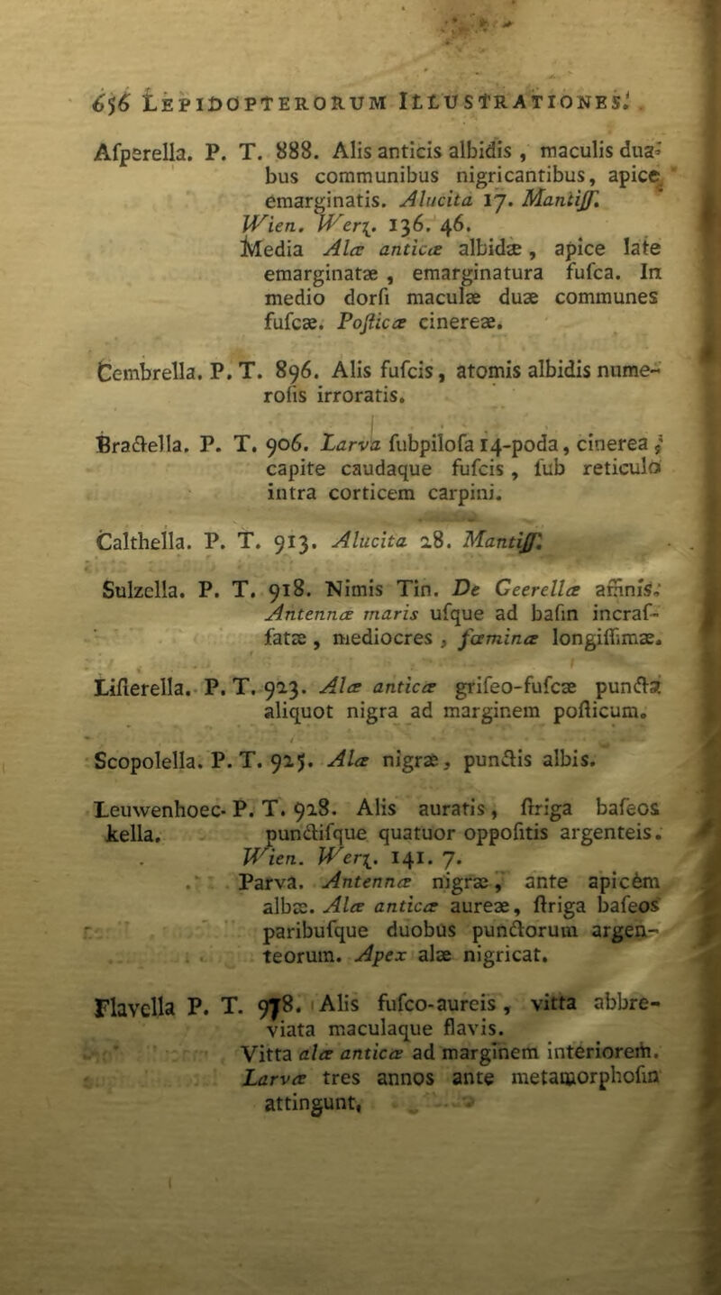 Afperella. P. T. 888. Alis anticis albidis , maculis dua- bus communibus nigricantibus, apice emarginatis. Alucita 17. Mantijf. JVien. 136. 46. Media Ala antica albidae, apice late emarginatae , emarginatura fufca. In medio dorfi maculae duae communes fufcae. Pojlica cinereae. Cembrella. P. T. 896. Alis fufcis, atomis albidis nume- roiis irroratis. Bra&ella. P. T. 906. Larva fubpilofa 14-poda, cinerea capite caudaque fufcis, 1'ub reticulo intra corticem carpini. Calthella. P. T. 913. Alucita 2.8. Mantijf'. (t i IA i *- ‘ f ■ 2 - ~ 1 * ♦ • • A # * t- ■ Sulzclla. P. T. 918. Nimis Tin. De Geerella amnis; Antenna maris ufque ad bafin incraf- fatae , mediocres , fcemina longifllmae. Lirterella. P. T. 92.3. Ala antica grifeo-fufcae punfta aliquot nigra ad marginem porticum. Scopolella. P. T. 925. Ala nigrae, pun-rtis albis. Leuwenhoec- P. T. 928. Alis auratis, ftriga bafeos kella. punclifque quatuor oppofitis argenteis. Wien. Wer\. 141. 7. Parva. Antenna nigrae, ante apicam albae. Ala antica aureae, rtriga bafeos paribufque duobus pun&orum argen- teorum. Apex alae nigricat. Flavclla P. T. 978. Alis fufco- aureis , vitta abbre- viata maculaque flavis. Vitta ala antica ad marginem interioreih. Larva tres annos ante metaqiorphofm attingunt,