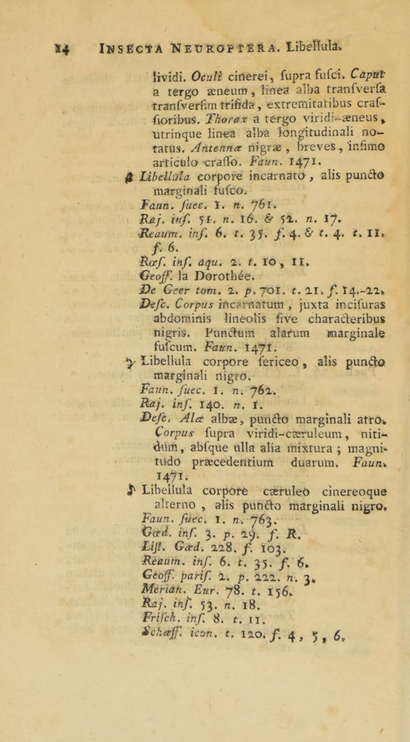 lividi. Oculi cinerei, fupra fufci» Caput a tergo aeneum, linea alba tranfverfa tranfverP.m trifida, extremitatibus craG- fvoribus. Thorax a tergo viridi-aeneus , utrinque linea alba longitudinali no- tatus, Antenna nigrae, breves ,‘infimo articulo-craffo. Faun. I47^* 4 LibeUala corpore incarnato, alis pundo marginali fiifcOi f aun. fuee. 1. n. *jbl. Raj. inf. 51. n. 16. & 5X. n. \J. •Reaum, ihf. 6. t. 35* /• 4‘ ^ 4* f.6. Raf. inf. aqu. 1. t. IO , II, Geojff. la Doroth^e. De Gcer tom. 1. p.jol. 1.11. f. l4*-2.lk Defc. Corpus incarnatum , juxta incifuras abdominis lineolis five characleribus nigris. Punctum alarum marginalb fufcum. Faun. l^yt. Libellula corpore fericeo, alis punfto marginali nigro. Faun. fuec. l. n. jbl. Raj. inf. 140. n. I. Defe, Ala albae, punfto marginali atro» Corpus fupra viridi-caeruleum, niti- cluiti, abfque ulla alia mixtura ; magni- tudo praecedentium duarum, Faun% 14^1. i' Libellula corpore caruleO cinereoque alterno , alis punfto marginali nigro, Faun. fuec. 1. n, 763. inf. 3. p. a^. f. R. Lijl. Gad. ai8. f. 103. Reaum. inf. 6. t. 35. f. 6, Geojf. parif. a. p. laa. n. 3. Merian. Eur. 78. t. 156, Raj. inf. 53. n. 18. Frifck. ihf. 8. f. II.