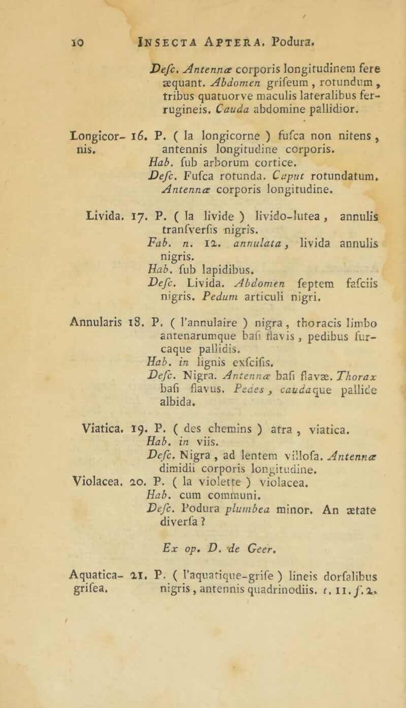 longlcor- ni:>. Livida. Annularis Viatica. Violacea, Aquatica- grifea. Defc. Antenna corporis longitudinem fere sequant. Abdomen grifeum , rotundum , tribus quatuorve maculis lateralibus fer- rugineis. Cauda abdomine pallidior. 16. P. ( Ia longicorne ) fufca non nitens , antennis longitudine corporis. Hab. fub arborum cortice. Vefc. Fufca rotunda. Caput rotundatum. Antenna corporis longitudine. 17. P. ( la livide ) livido-lutea , annulis tranfverfis nigris. Fab. n. 12,. annulata, livida annulis nigris. Hab. fub lapidibus. Defc. Livida. Abdomen feptem fafciis nigris. Pedum articuli nigri. 18. P. ( 1’annulaire ) nigra, thoracis limbo antenarumque bafi tlavis, pedibus fur- caque pallidis. Hab. in lignis exfcifis, Defc. Nigra. Antenna bafi flavae. Thorax bafi flavus. Pedes ^ caudacue pallide albida. 19. P. des chemins ) atra , viatica. Hab. in viis. Defc. Nigra , ad lentem villofa. Antenna dimidii corporis longitudine, io. P. ( la violette ) violacea. Hab. cum communi. Defc. Podura plumbea minor. An aetate diverfa ? Ex op, D. de Geer, ai, P. ( raquatique-grife ) lineis dorfalibus nigris, antennis quadrinodiis, t. ii./.x.