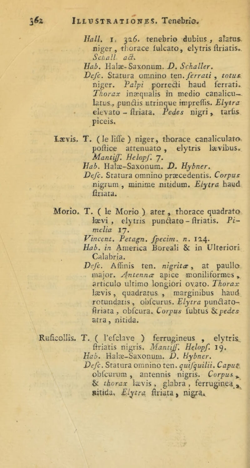 Uall. I. 326. tenebrio dubius, siafus. niger, thorace iulcato, elytris flriatis, Schall- aS^ Hab. Halae-Saxonum. D. Sckaller. Vefc. Statura omnino tQU.ferrati, totus- niger. Palpi porrecti haud ferrati. Thorax inaequalis in medio canalicu-.^ larus, pundis utrinque imprelTis. Elytra elevato - ftriata. Pedes nigri, tarhs piceis. tzEvis. T. (le liffe ) niger, thorace canaliculato. pollice attenuato , elytris laevibus, Mantijp. Helopf. 'J, hab. Halac-Saxonum. D. Hybner. Defc. Statura omnino praecedentis. Corpus nigrum , minime nitidum. Elytra haud flriata. Morio, T. ( le Morio ) ater, thorace quadrato laevi, elytris punclato - flriatis. Pi- mclia 17. Vincent. Petagn. fpecini. n. 124. Hab. in America Boreali & in Ulteriori Calabria. Defc. Affinis ten. nigritce, at paullo major. Antenna apice moniliformes, articulo ultimo longiori ovato. Thorax laevis, quadratus , marginibus haud rotundans , obfcurus. Elytra pundato- firiata, obfcura. Corpus fubtus atra, nitida. RuficoHis. T. ( Tefclave ) ferrugineus , elytris. flriatis nigris. Manti]/'. Helopf. 19, Hab. Halae-Saxonum. D. Hybner. Defc. Statura omnino ten. quifquilii. CapuS:. obfcurum , antennis nigris. Corpus ^ & thorax laevis , glabra , ferrugineai^j^ nitida. Elytra. flriata, nigra»