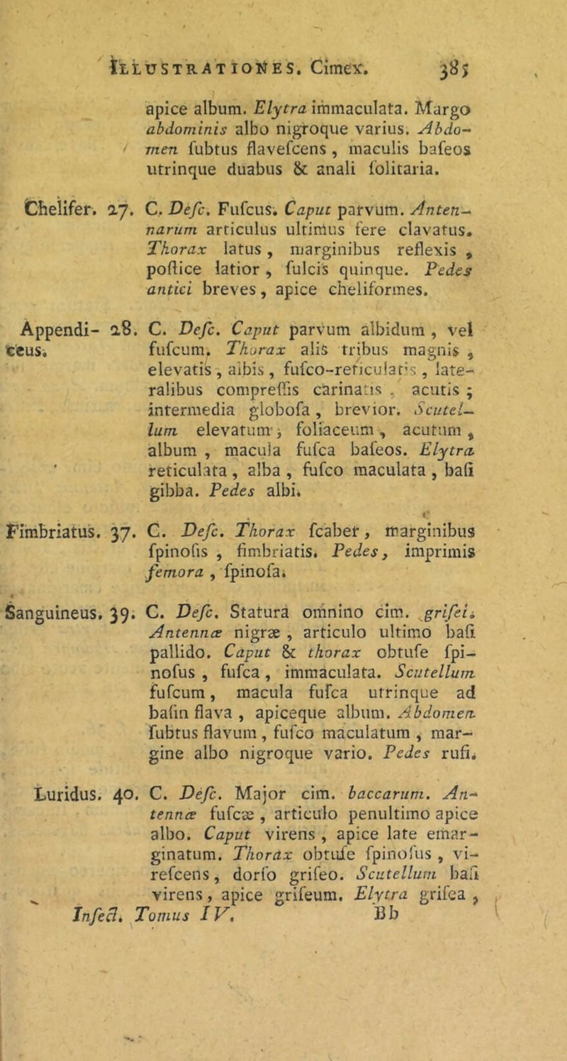 apice album. Elytra immaculata. Margo abdominis albo nigroque varius. Abdo- ' men fubtus flavefcens, maculis bafeos utrinque duabus & anali folitaria. Chelifer. ay. C, De/c. Fufcus; Caput parvum. Anten- narum articulus ultimus tere clavatus. Thorax latus, marginibus reflexis , poftice latior, fulcis quinque. Pedes antici breves, apice chelifonnes. a8. C. Defc. Caput parvum albidum , vel fufcum. Thorax alis tribus magnis , elevatis, albis, fufco-reticulans, late- ralibus compreffis carinatis , acutis ; intermedia globofa, brevior. Scutel- lam elevatum' ■, foliaceum , acutum , album , macula fufca bafeos. Elytra, reticulata , alba , fufco maculata , bali gibba. Pedes albi. I' Fimbriatus. 37. C. Defc. Thorax fcaber, marginibus fpinofis , fimbriatis. Pedes, imprimis femora , fpinofa* Sanguineus. 39. C. Defc. Statura omnino cim. ^grifeii Antennce nigrae , articulo ultimO bali pallido. Caput & thorax obtufe fpi- nofus , fufca, immaculata. Scutellum. fufcum, macula fufca utrinque ad bafin flava , apiceque album. Abdomen. fubtus flavum, fufco maculatum , mar- gine albo nigroque vario. Pedes rufii Luridus. C* De/c. Major cim. baccarum. An- tennts fufcae, articulo penultimo apice albo. Caput virens , apice late eiiiar- ginatum. Thorax obtufe fpinofus , vi- refcens, dorfo grifeo. Scutellum bali ^ virens, apice grifeum. Elytra grifea , InfeB. Tomus IV. Bb Appendi- teus.