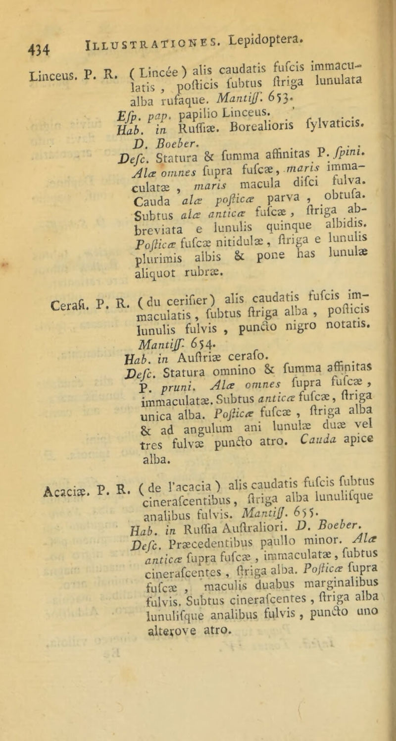 T • p TJ f 1 incee ^ alis caudatis fiifcis immacu- Lmceus. P. R. < Lmc.e alba rufaque. Mantijj. 653. Efp. pap. papilio Lmceus. ' Uab. in Ruffiae. Borealions fylvaticis. D. Boeber. r> r • • Defc. Statura & fumma affinitas P./finz. Ala‘omnes fupra fufcae, imma culatae , maris macula difci ^ Cauda ala pofiica parva , obtula. Subtus ala antica fufcae, Itnga ap- breviata e lunulis quinque albidis. Follica fufcse nitidulae , ftriga e lunulis plurimis albis & pone has lunulae aliquot rubrae. Cerafi P. P- cerffier) alis caudatis tufcis im- maculatis, fubtus ftriga alba , pofl.cis lunulis fulvis , pundo nigro notatis. Mantijf- 654. JJab. in Auftris cerafo. DeCc. Statura omnino & fumma affinitas P. pruni. Ala omnes fupra fufcs , immaculatae. Subtus antica fufcae, Itriga unica alba. Postea fufcae , Priga alba & ad angulum ani lunulae du» vel tres fulvae pundo atro. Cauda apice alba. Acaciae P. R. ( de l’acacia ) alis caudatis fufeis fubtus Acaciae. Vmerafcentibus, ftriga alba lunulifque analibus fulvis. Mantijj. 65 5- Uab. in Ruffia Auflraliori. D. Boeber. Vefe. Praecedentibus paullo minor. Ala antica fupra fufcae, immaculatae, fubtus cinerafeentes , ftriga alba. Pojhca ffipra fufcae , 'maculis duabus marginalibus fulvis. Subtus cinerafeentes , ftriga alba lunulifque analibus fulvis , pundo uno alterove atro.