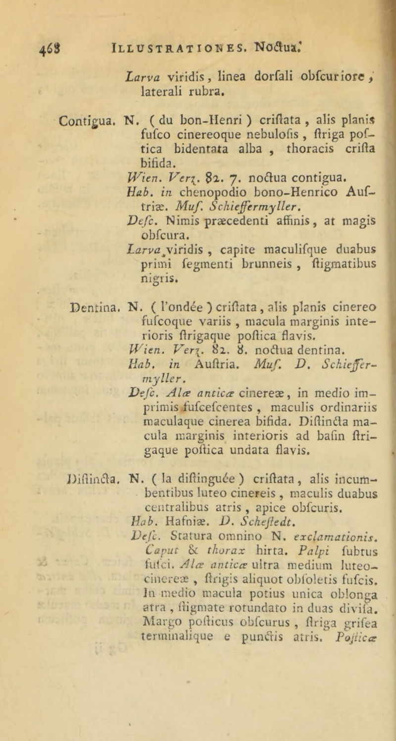 Larva viridis, linea dorfali obfcuriore, laterali rubra. Contigua. N. ( du bon-llenri ) criflata , alis planis fufco cinereoque nebulofis , ftriga pof- tica bidentata alba , thoracis crifta bihda. Wien. Veri. ^2.. 7. no61ua contigua. H&b. in chenopodio bono-Henrico Auf- trias. Muf. Schieffermyller. Defc. Nimis praecedenti affinis, at magis cbfcura. larvfl^viridis , capite maculifque duabus primi fegmenti brunneis , ffigmatibus nigris. Dentina. N. ( Tondife ) crifiata, alis planis cinereo fufcoque variis , macula marginis inte- rioris ftrigaqiie poftica flavis. Wien. Veri. nodua dentina. Hab. in Auftria. Muf. D. Schiefer- inyller. Defc. Ala antica cinereae, in medio im- primis iufcefcentes , maculis ordinariis maculaque cinerea bifida. Diflinda ma- cula marginis interioris ad bafin ftri- gaque poTfica undata flavis. Diflinda. N. ( la diftingu<f*e ) criffata, alis incum- bentibus luteo cinereis , maculis duabus centralibus atris, apice obfcuris. Hab. Hafniae. D. Schejledt. Defc. Statura omnino N. exclamationis. Caput & thorax hirta. Palpi fubtus fulci. Ala antica ultra medium luteo- cincreae , firigis aliquot oblbletis fufcis. Jn medio macula potius unica oblonga atra , digmate rotundato in duas divita. Margo poflicus obfcurus , flriga grifea terminalique e pundis atris. Pojiica