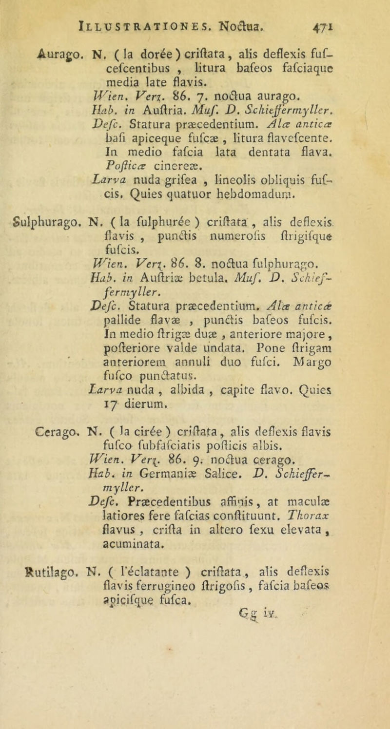 Aurago. N. ( la dor^e ) criftata, alis deflexis fuf- cefcentibus , litura bafeos fafciaquc media late flavis. JVien. Veri. 86. 7. noiSiia aurago. Hab. in Auflria. Muf. D. Schitjferniyllcr. Defc. Statura praecedentium. Alce antica bafi apiceque fufcae , litura flavefcente. In medio fafcia lata dentata flava. Pofiicce cinereae. Larva nuda grifea , lineolis obliquis fuf- cis. Quies quatuor hebdomadum. Sulphurago. N. ( Ia fulphuree ) criftata , alis deflexis flavis , pundis numerolis flrigifque fufeis. Wien, Verx. 86. 8. nodua fulphurago. Hab. in Auftriae betula. Muf. D. Schief- ferniyller. Defc. Statura praecedentium. Alce antica pallide flavae , pundis bafeos fufeis. In medio flrigae duae, anteriore majore, pofleriore valde undata. Pone ftrigam anteriorem annuli duo fufei. Maigo fufeo pundatus. Larva nuda , albida , capite flavo. Quies 17 dierum. Cerago, N. ( )acir6e) criftata, alis deflexis flavis fufeo fubfdfciaris pofticis albis. Wien. Ver[. 86. 9. nodua cerago. Hab. in Germaniae Salice. D. Schieffer-.. myllcr. Defc. Praecedentibus affinis, at maculae latiores fere fafeias conffituunt. Thorax flavus , crifla in altero fexu elevata , acuminata. Rutilago. N. ( r^clatante ) criffata, alis deflexis flavis ferrugineo flrigofis , fafcia bafeos apicifque fufea.