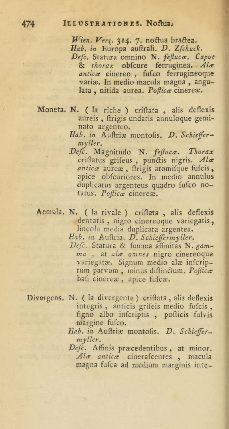 JVien. Ver^. 314. 7. noctua bra^lea. Hab, in Europa auflrali. D. Zfchuck. Defc. Statura omnino N. fefluca. Caput & thorax obfcure ferruginea. Alee antica cinereo , fufco ferrugineoque variae. In medio macula magna , angu- lata , nitida aurea. Pojlica cinereae. Moneta. N. ( Ia riche ) criftata , alis deflexis aureis , ftrigis undatis annuloque gemi- nato argenteo. Hab. in Auftriae montofis. D. Schie0er~‘ myller. Defc. Magnitudo N. fefluca. Thorax criftatus grifeus , pundlis nigris. Ala antica aureae , flrigis atomifque fufcis , apice obfcuriores. In medio annulus duplicatus argenteus quadro fufco no- tatus. Poflica cinereae. Aemula, N. ( la rivale ) criflata , alis deflexis dentatis , nigro cinereoque variegatis, lineola media duplicata argentea. Hab. in Auflria. D. Schieffermyller, Defc. Statura & fumma affinitas N. gam- ma , at ala omnes nigro cinereoque variegatae. Signum medio alae infcrip- nira parvum , minus diftindum. Poflica bafi cinereae, apice fufcae. Divergens. N. ( la divergente) criflata, alis deflexis integris , anticis grifeis medio fufcis , figno albo infcriptis , poflicis fulvis margine fufco. Jiab. in Auflriae montofis. D. Schiefer- myller. Defc. Affinis praecedentibus, at minor. Ala antica cincrafeentes , macula magna fufea ad medium marginis inte-