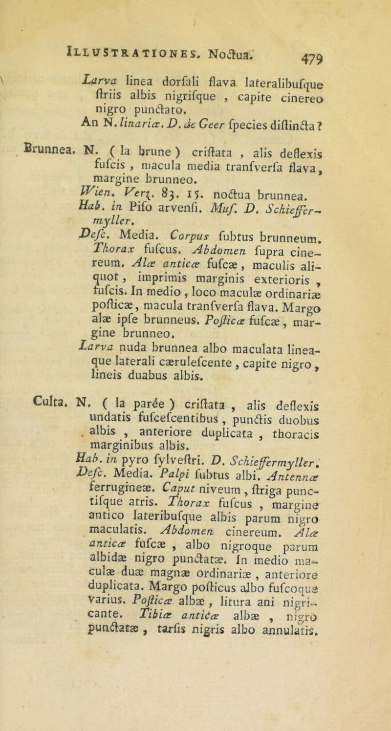 479 Liirva linea dorfali flava lateralibufque ftriis albis nigrifque , capite cinereo nigro pun(H:ato. An li.linaritx.D.ckGeer fpecies diftinfta? Brunnea. N. ( Ia brune) criffata , alis deflexis fufcis , macula media tranfverfa flava, margine brunneo. Vtrx. 83. 15. nodtua brunnea. Uab. in Pifo arvenfi. Muf, D. Schkjfer^ myller, Defc. Media. Corpus fubtus brunneum. Thorax fufcus. Abdomen fupra cine- reum. Alce anticee fufcae, maculis ali- quot , imprimis marginis exterioris , rufcis. In medio, loco maculae ordinariae pofticae, macula tranfverfa flava. Margo alae ipfe brunneus. Poflicce fufcae, mar- gine brunneo. Larva nuda brunnea albo maculata linea- que laterali caerulefcente , capite nigro, lineis duabus albis. Culta, N. ( la par^e ) criflata , alis deflexis undatis fufcefcentifau^ , pundlis duobus . albis , anteriore duplicata , thoracis marginibus albis. Hab. in pyro fylvefiri. D. Schiefermyller. Defc. Media. Palpi fubtus albi. Antennce ferrugineae. Caput niveum , ftriga punc- tifque atris. ^ Thorax fufcus , margine antico lateribufque albis parum nigro maculatis. Abdomen cinereum. Alce anticce fufcae , albo nigroque parum albids nigro pundatae. In medio ma- culae duae magnae ordinariae , anteriore duplicata. Margo poflicus albo fufcoque varius. Pofticce albae , litura ani nigri- cante. Tibice antkce albae , nigro punftatae , tarfis nigris albo annularis.