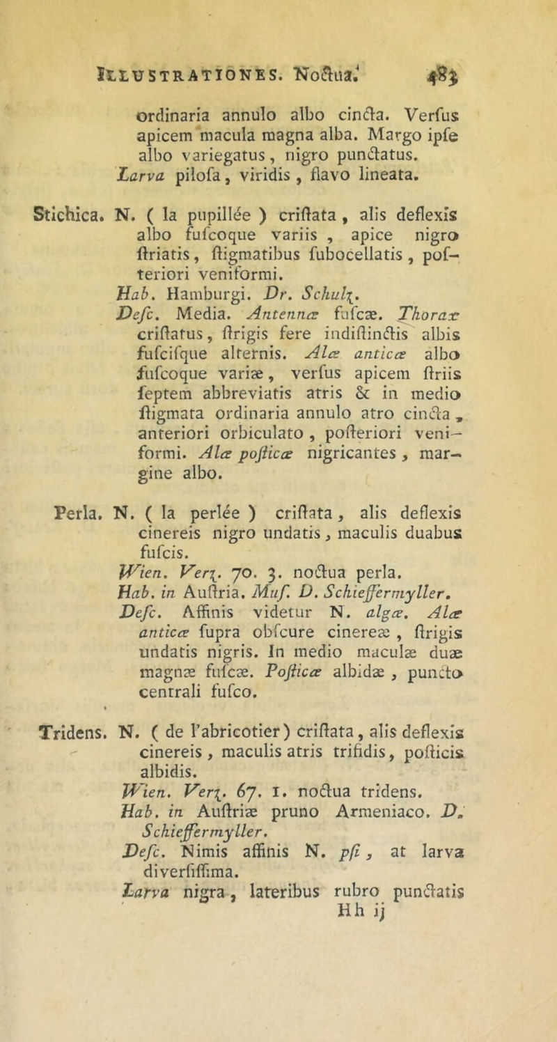 ordinaria annulo albo cin(fl:a. Verfus apicem macula magna alba. Margo ipfe albo variegatus, nigro pundatus. Larva pilofa, viridis , flavo lineata. Stichica. N. ( Ia pupillae ) criftata, alis deflexis albo fufcoque variis , apice nigro ftriatis, fligmatibus fubocellatis , pof- teriori veniformi. Hab. Hamburgi. Dr. Schul^. Defc. Media. Antenna: fiifcae. Thorax criflatus, ftrigis fere indiflinftis albis fufcifque alternis. Alce antica albo fufcoque variae, verfus apicem ftriis feptem abbreviatis atris & in medio fligmata ordinaria annulo atro cincta , anteriori orbiculato , pofteriori veni— formi. Ala pofiica nigricantes , mar- gine albo. Perla. N. ( la perlee ) criftata, alis deflexis cinereis nigro undatis, maculis duabus fufcis. Vf^ien. Ver\. jo. 3. no(ftua perla. Hab. in Aultria. Muf. D. Schieffermyller, Defc. Affinis videtur N. alga. Ala antica fupra obfcure cinereae , flrigis undatis nigris. In medio maculae duae magnae fufcae. Pofiica albidae , puncto centrali fufco. I Tridens. N. ( de 1’abricotier) criftata, alis deflexis cinereis , maculis atris trifidis, pofticis albidis. JVien. Ver^. 67. I, noftua tridens. Hab. in Auftriae pruno Armeniaco. D, Schieffermyller. Defc. Nimis affinis N. pfi j at larva diverfiffima. Larva nigra, lateribus rubro pundatis Hh ij