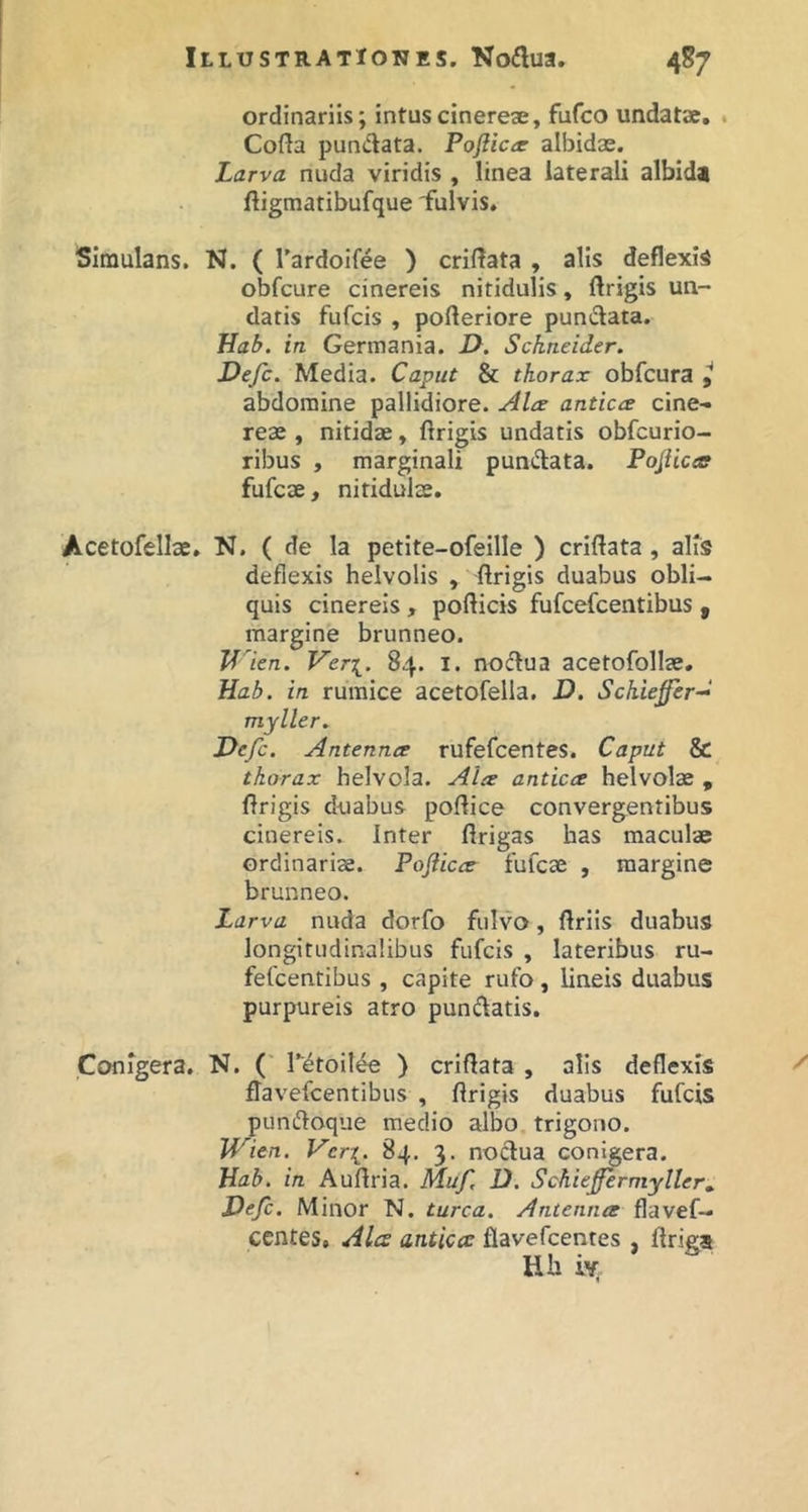 ordinariis; intuscinereae, fufco undatae, . Cofta pundata. Pofiic^r albidae. Larva nuda viridis , linea laterali albid* ftigmatibufque 'fulvis. Simulans. N. ( rardoifee ) cridata , alis deflexis obfcure cinereis nitidulis, ftrigis un- datis fufcis , pofteriore pundata. Jiab. in Germania. J?. Sckneider, Defc. Media. Caput 8c thorax obfcura ^ abdomine pallidiore. Ala antica cine- reae , nitidae, ftrigis undatis obfcurio- ribus , marginali pundata. Pojtica fufcae, nitidulae. Acetofellae. N. ( de la petite-ofeille ) criftata, alis deflexis helvolis , ftrigis duabus obli- quis cinereis, pofticis fufcefcentibus, margine brunneo. Tf len. Ver:^. 84. I. nodua acetofollae, Hab. in rumice acetofella. D. Schiejfer-^ myller. Defc. Antenna rufefcentes. Caput & thorax helvola. Ala antica helvolae , ftrigis duabus poftice convergentibus cinereis. Inter ftrigas has maculae ordinariae. Pojiica fufcae , margine brunneo. Larva nuda dorfo fulvo, ftriis duabus longitudinalibus fufcis , lateribus ru- fefcentibus , capite rufo, lineis duabus purpureis atro pundatis. Conigera. N. (' Tetoil^ ) criftata , alis deflexis flavefcentibus , ftrigis duabus fufcis pundoque medio albo trigono. Wien. Vcri. 84. 3. nodua conigera. Hab. in Auftria. Muf D. Schieffermyller^ Defc. Minor N. turea. Antenna flavef— centes, Alce antica flavefeentes , ftriga Hh iY.