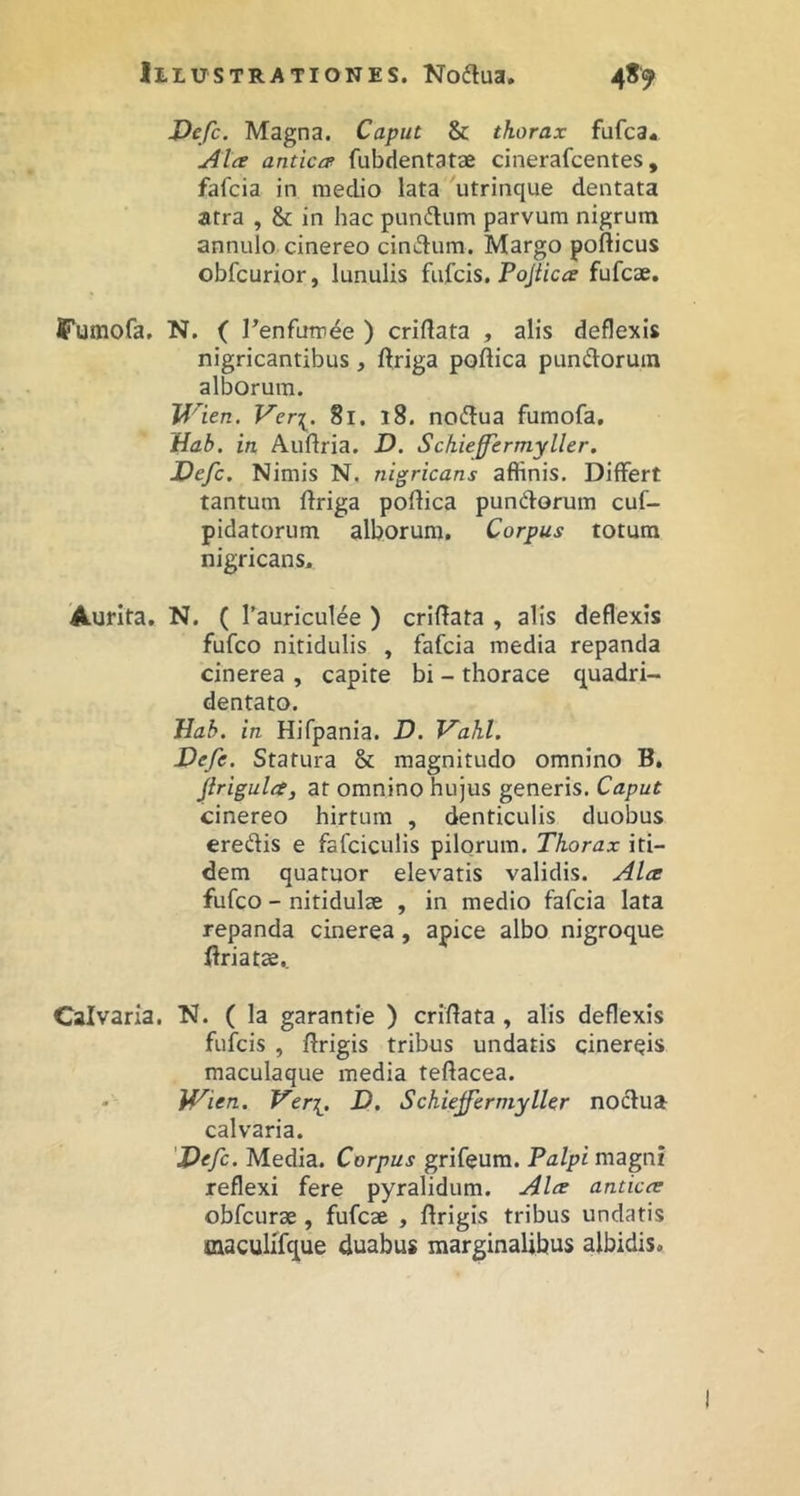 Defc. Magna. Caput & thorax fufca. j4ta anticof fubdentatae cinerafcentes, fafcia in medio lata utrinque dentata atra , & in hac pundlum parvum nigrum annulo cinereo ciniSum. Margo porticus obfcurior, lunulis {aicis, Pojiica fufcae. Fumofa, N. ( 1’enfumde ) crirtata , alis deflexis nigricantibus , ftriga portica pundoruin alborum. lf'len. Ver[. 8i. i8. no(rtua fumofa. Hab, in Auflria. D. Schieffermyller. Defc, Nimis N. nigricans affinis. Differt tantum rtriga portica pundorum cuf- pidatorum alborum. Corpus totum nigricans. Aurita, N. ( 1’auriculee ) crirtata , alis deflexis fufco nitidulis , fafcia media repanda cinerea , capite bi - thorace quadri- dentato. Dab. in Hifpania. D. Vahl. Defe. Statura & magnitudo omnino B, Jirigula, at omnino hujus generis. Caput cinereo hirtum , denticulis duobus eredis e fafcicuiis pilorum. Thorax iti- dem quatuor elevatis validis. Alce fufco - nitidulae , in medio fafcia lata repanda cinerea, apice albo nigroque ftriatae.. Calvaria. N. ( la garantie ) crirtata, alis deflexis fufcis , rtrigis tribus undatis cinereis maculaque media tertacea. - Wien. Veri{^, D. Schieffermyller nodua calvaria. Defc. Media. Corpus grifeum. Palpi magni reflexi fere pyralidum. Alce anticce obfcurse , fufcae , rtrigis tribus undatis macullfque duabus marginalibus albidis.