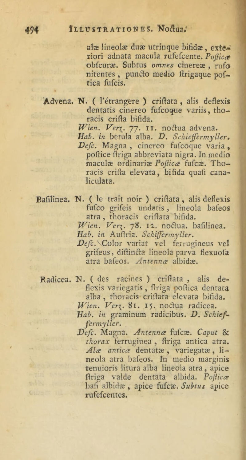 alx lineolae duae utrinque bifidae, eifte- riori adnata macula rufefcente. PojUca obfcurae. Subtus omnes cinereae, rufo nitentes , puncto medio ilrigaque pof- tica fufcis. % 'Advena. N. ( 1’^trangere ) crifiata , alis deflexis dentatis cinereo fufcoque variis, tho- racis crifia bifida. Wien. Ver[. 77. II. noftua advena. Hab. in betula alba. D. Sc/iiejfermyller. Defc. Magna , cinereo fufcoque varia, pofiice firiga abbreviata nigra. In medio maculae ordinariae Poftica fufcae. Tho- racis crifta elevata, bifida quafi cana- liculata. Bafilinea. N. ( le trait noir ) crifiata, alis deflexis fufco grifeis undatis, lineola bafeos atra, thoracis crifiata bifida. Wien. Ver\. 78. la. noflua. bafilinea. Hab. in Auftria. Schifferrnyller. D efc.^ Color variat vel ferrugineus vel grifeus, diftincfa lineola parva flexuofa atra bafeos. Antennce albidae. Radicea. “N. ( des raclnes ) criftata , alis de- flexis variegatis, flriga poftica dentata alba , thoracis crilfata elevata bifida. Wien. Ver[. 81. ij. noilfua radicea. Hab. in graminum radicibus. D. Schief- fermyller. Defc. Magna. Antenna fufcae. Caput & thorax ferruginea , ftriga antica atra. Ala antica dentatae , variegatae, li- neola atra bafeos. In medio marginis tenuioris litura alba lineola atra, apice Ilriga valde dentata albida. Pojiica bafi albidae , apice fufcae. Subtus apice rufefcentes.