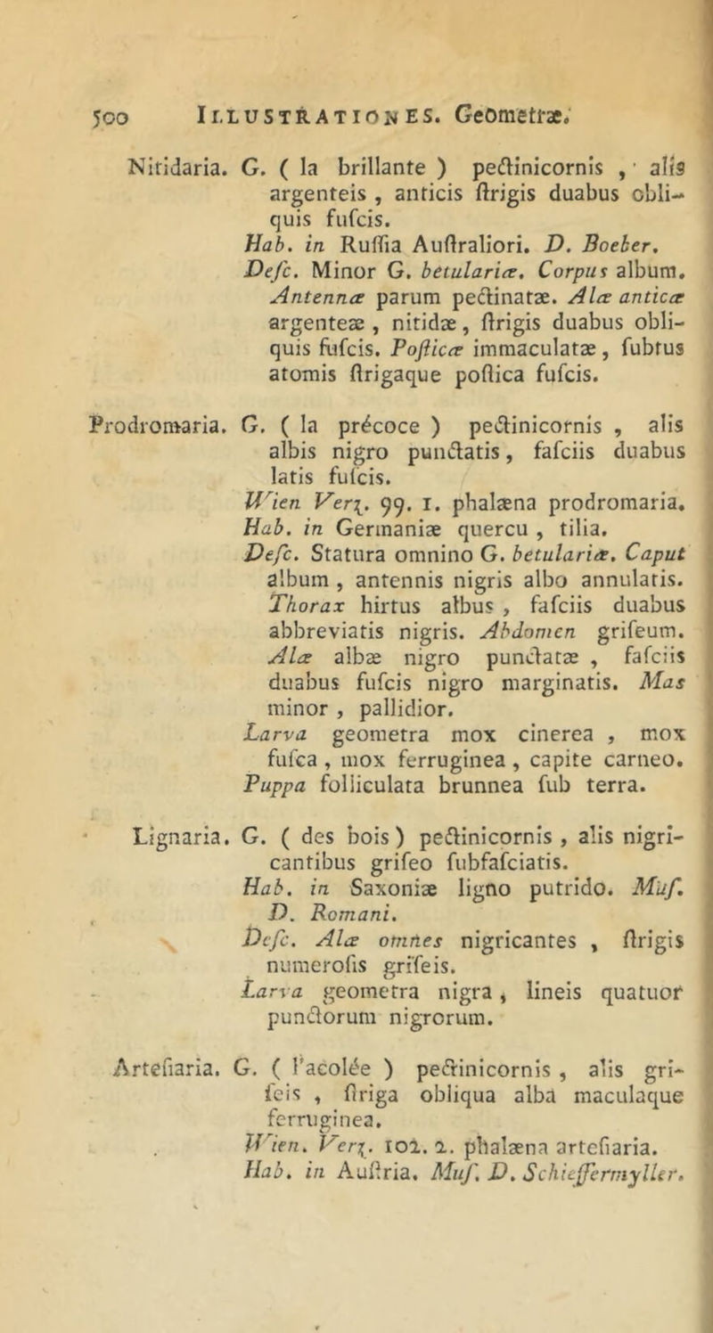 Niridaria. G. ( la brillante ) pedHnIcornis , • alis argenteis , anticis ftrigis duabus obli- quis fufcis. Hab. in Ruffia Auftraliori. D. Boeber, Defc. Minor G. betularits, Corpuf album. Antenna parum pectinatae. Ala antica argenteae, nitidae, (trigis duabus obli- quis fufcis. Pofiica immaculatae, fubtus atomis flrigaque poflica fufcis. Prodronvaria, G, ( la pr^coce ) pe»!tinicornis , alis albis nigro puniflatis, fafciis duabus latis fufcis. If^^ien Ver\. 99. i. phal^na prodromaria, Hab. in Germaniae quercu , tilia. Defc. Statura omnino G. betularia. Caput album , antennis nigris albo annulatis. Thorax hirtus albus , fafciis duabus abbreviatis nigris. Abdomen grifeum. Ala albae nigro punctatae , fafciis duabus fufcis nigro marginatis. Mas minor , pallidior. Larva geometra mox cinerea , mox fufca , mox ferruginea , capite carneo. Puppa foliiculata brunnea fub terra. Lignaria. G. ( des bois) peftinicornis , alis nigri- cantibus grifeo fubfafciatis. Hab. ia Saxoniae ligno putrido. Muf. , jP. Romani. s Dcfc. Ala omnes nigricantes » (trigis numerofis grifeis. Larva geometra nigra ^ lineis quatuof pundorum nigrorum. Artefiaria. G, ( 1'acolde ) pefrinicornis , alis gri- ieis ^ (Iriga obliqua alba maculaque ferruginea. If ^ien. Ver%. lol. a. phalaena artefiaria. Hab. in Aufiria. Muf, D. SchicfferrnylUr.