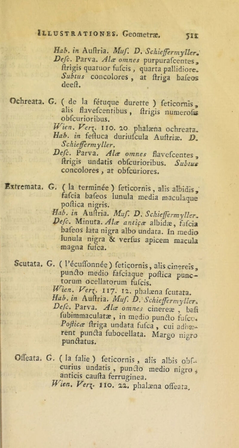 Hab. in Aufiria. Muf. D. Schiefermyller^ Defc. Parva. Alce omnes purpurafcentes, ftrigis quanior fufcis , quarta pallidiore. Subtus concolores , at ftriga bafe(K deeft. Ochreata. G. ( de la fi^tuque durette ) fetlcomls ^ alis flavefcenfibus, ftrigis nuraerofa obfcurioribus. u^ien. Ver[. iio. 70 phalaena ochreata, Hab. in feftuca duriufcula Auftriae. D. S chiefer my lier. Defc. Parva. Alee omnes flavefcentes, ftrigis undatis obfcurioribus. Subtus concolores, at obfcuriores. Extremata. G. ( Ia termin^e ) feticornis, alis albidis, fafcia bafeos lunula media maculaque poflica nigris. Hab. in Auflria. Muf. D. Schieffermyller, Defc. Minuta, anticce albidae, fafcia bafeos lata nigra albo undata. In medio lunula nigra & verfus apicem macula magna fufca. Scutata, G. ( l’^cuflbnnde) feticornis, alis cinereis, pun(flo medio fafciaque poftica punc- torum ocellatorum fufcis. Wien. Veri. ^^7- ii. phaltena fcutata. Uab.in Auftria. Muf D. Schiefermyllcr* Defck Varyz. Alce omnes cinerese , bafi fubimmaculatae, in medio pundo fufcc* Pofticee flriga undata fufca , cui adhae- rent punda fubocellata. Margo nigro pundatus. OlTeata. G, ( Ia falie ) feticornis, alis albis obf- curius undatis , pundo medio nigro ^ anticis cauda ferruginea. Wien. Veri^ iio. aa. phaijena offeata.