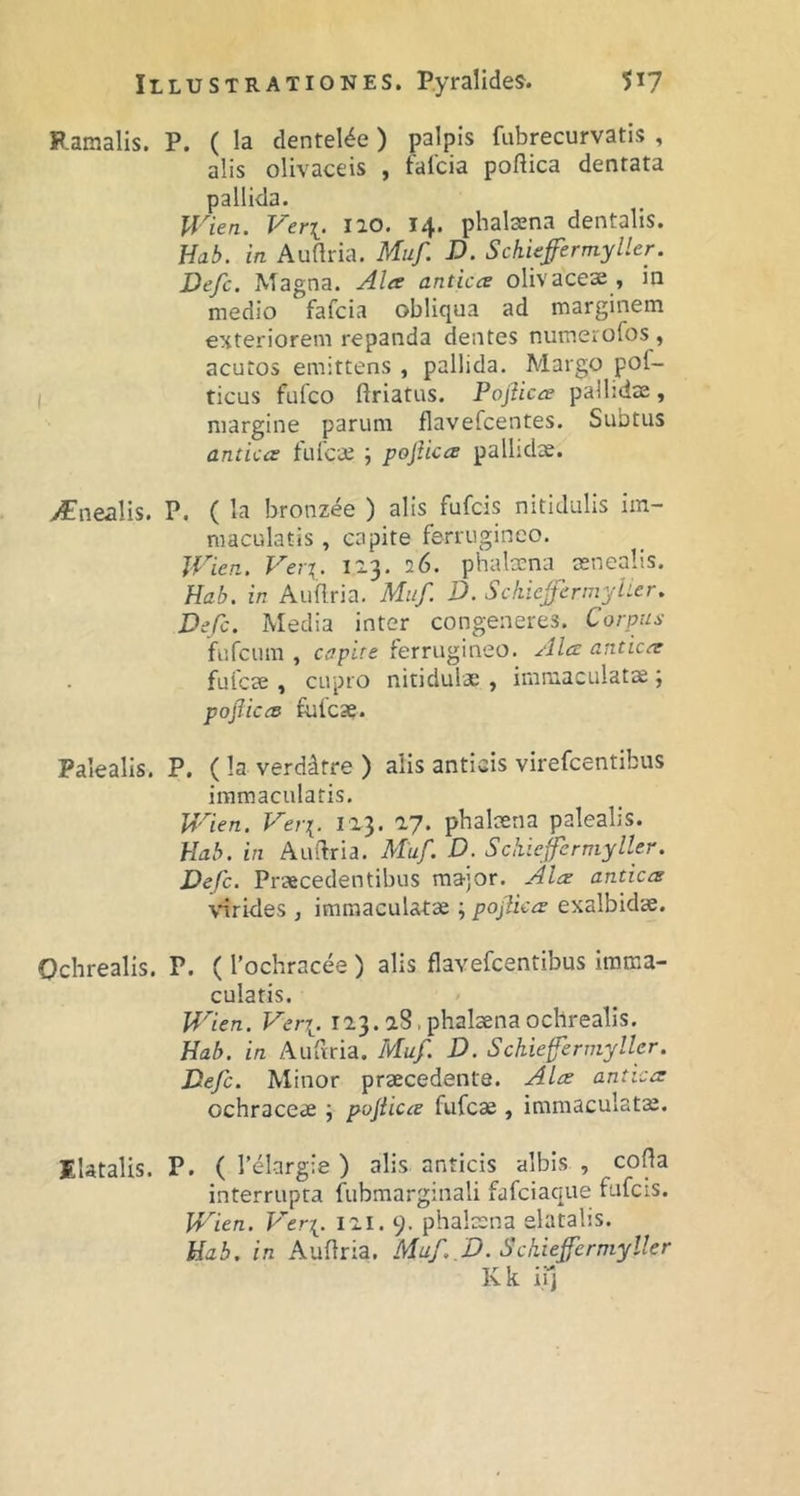 Ramalis. P. ( Ia dentel^e ) palpis fubrecurvatis , alis olivaceis , talcia poflica dentata pallida. Wien. Ver[. iio. 14. phalaena dentalis. Uab. in Auttria. Muf. D. Schiefermyller. Defc. Magna. Ala antica olivacese , in medio fafcia obliqua ad marginem exteriorem repanda dentes numerofos , acutos emittens , pallida. Margo pof- ticus fufco ftriatus. Poflica palbdse, margine parum flavefcentes. Subtus antica fufca; ; poflica pallidas. vFnealis. P. ( la bronzee ) alis fufcis nitidulis im- maculatis , capite ferrugineo. JVien. Verx. 1x3. 26. phaloena mnealis. Hab. in Auflria. Muf. D. Schiefermylier, Defc. Media inter congeneres. Corpus fufcimi , capite ferrugineo. Ala antica fulcae , cupro nitidulae , immaculatas; poflica fufcse. Palealis. P. ( la verddtre ) alis anticis virefcentibus immaculatis. Wien. Ver\. 1x3. xy. pbalmna palealis. Hab. in Auilria. Muf. D. Schiejfcrmyller. Defle. Praecedentibus major. Ala antica \nrides , immaculatas ; poflica exalbidae. Ochrealis. P. (1’ochracee ) alis flavefcentibus Imma- culatis. Wien. Veri. 1x3..phalaenaochrealis. Hab. in Aufrria. Muf. D. Schiefermyller. Defc. Minor praecedente. Ala antica ochraceae ; poflica fufeae , immaculatas. Elatalis. P. ( l’elargie ) alis anticis albis , cofla interrupta fubmarginali fafeiaque fufcis. Wien. Veri. ixi. 9. phalcsna elatalis. Hab. in Auflria. Muf. D. Schiefermyller