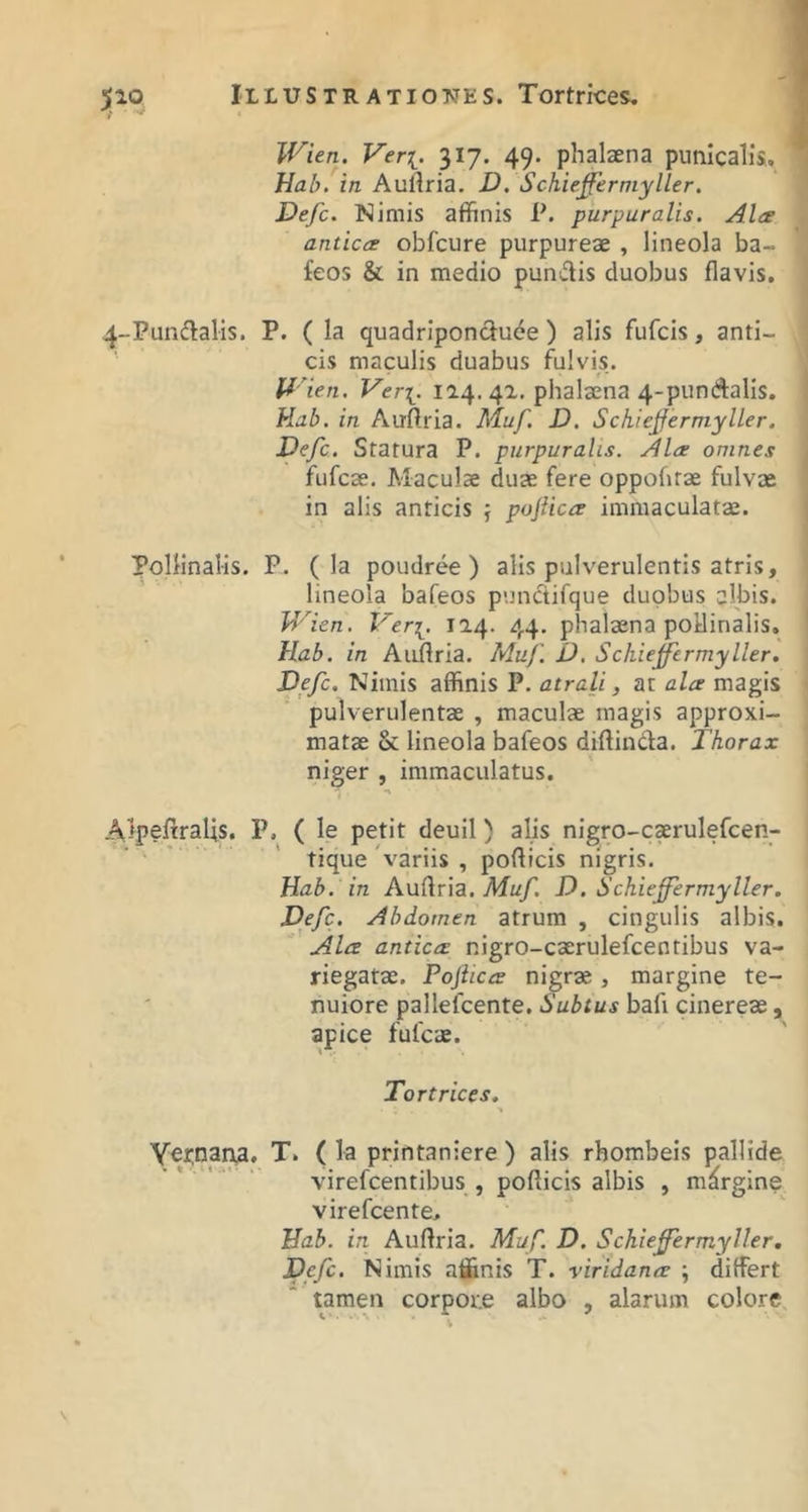 3(10 Wien. Veri. 317. 49. phalaena punlcalis, Hab. in Aullria. V. Schieffermyller. Defc. Nimis affinis P. purpuratis. Alce anticce obfcure purpureae , lineola ba- feos & in medio pun^flis duobus flavis. 4-Pundlalis. P. ( la quadripondude ) alis fufcis, anti- cis maculis duabus fulvis. U^ien. Veri. l'2-4-4T. phalaena 4-pundalis, Hab. in Auflrla. Muf. D. Schiejfermyller. Defc. Statura P. purpuratis. Alce omnes fufcae. Maculae duae fere oppofitae fulvae in alis anticis } pojiicce immaculatae. Pollinaiis. P. ( la poudree ) alis pulverulentis atris, lineola bafeos punctifque duobus albis. W'ien. Veri. 114. 44. phalaena poilinalis, Hab. in Auflria. Muf. D, Schieffcrmyller. Defc. Nimis affinis P. atrali, at alce magis pulverulentae , maculae magis approxi- matae & lineola bafeos diftinda. Thorax niger , immaculatus. AlpefiraUs. P. ( le petit deuil) alis nigro-cxrulefcen- tique'variis , poflicis nigris, Hab. in Auflria. Afw/. D. Schieffermyller. Defc. Abdomen atrum , cingulis albis. Alce anticce nigro-caerulefcentibus va- riegatae. Pojiicce nigrae, margine te- nuiore pallefcente. Subtus bafi cinereae, apice fufcae. Tor trices. > Yetinai^a. T. ( la printaniere ) alis rhombeis pallide virefcentibus , pofticis albis , margine virefcente. Hab. in Auflria. Muf. D. Schiefermyller, Defc. Nimis affinis T. viridance ; differt tamen corpote albo , alarum colore