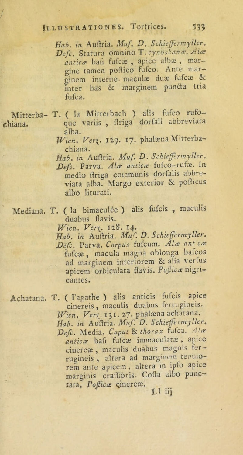 Mitterba- cbiana. Mediana. Achatana. Hab. in Auftria. Muf, D. Schieffermyller, Defc. Statura ommwoT. cynosbanes, Ice antica baii fufex , apice albaj , mar- gine tamen pofiico fufeo. Ante mar- ginem interne- maculae dua; fufcie & inter has & marginem pumlta tria fufea. T. ( la Mitterbach ) alis fufeo rufo- que variis , (Iriga dorfali abbreviata alba. JVien. Ver[. ij- phalaena Mitterba- chiana. Hab. in Auftria. Muf. D. Sckiefermyller, Defe, Parva. Ala antica fufeo-rufae. In medio ftriga communis dorfalis abbre- viata alba. Margo exterior & podicus albo liturati. T. ( la bimacul^e ) alis fufeis , maculis duabus flavis. Wien. Ver\. Il8. I4- Hab. in Auftria. Mu/'. D. Schieffermyller. Defc. Parva. Corpus fufeum. Ala ant ca fufeae , macula magna oblonga bafeos ad marginem interiorem & alia verfus apicem orbiculata flavis. Pojiica nigri- cantes. T. ( Tagathe ) alis anticis fufeis apice cinereis, maculis duabus ferrugineis. Wien. Veri-131. zj. phalaena achatana. Hab. in Auflria. Mu/. D. Schieffermyller. Defc. Media. Caput & thorax fufea. rUa antica baft fulcae immaculatae, apice cinerese , maculis duabus magnis fer- rugineis , altera ad marginem tenuio- rem ante apicem , altera in ipfo apice marginis crallioris. Cofta albo punc- tata, Pojiica qinereae. L1 iij