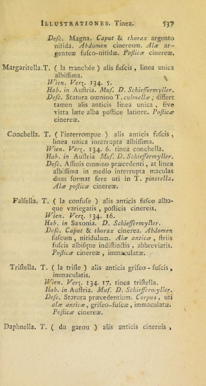 Defc. Magna. Caput & thorax argento nitida. Abdomen cinereum. Ala ar- genteae fufco-nitidae. Pojiica cinereae. MargarItella.T. ( la tranch^e ) alis fufcis, linea unica albiffima. * Jd'^ien. Ver\. 134, 5» Hab, in Auftria. Muf. D. SchiefTermyller, Defc. Statura omnino T. ,• differt tamen alis anticis linea unica , five vitta laete alba poftice latiore. Pofiica cinereae. Conchella. T. ( Tinterrompue ) alis anticis fufcis , linea unica interrupta albiffima. JVien. l^er[. 134. 6. tinea conchella. Hab. in Auflria Muf D. Sckieferniyller, Defc. Affinis omnino procedenti, at linea albiffima in medio interrupta maculas duas format fere uti in T. pinetella. Alce pofliccE cinereae. Falfella. T. ( la confufe ) alis anticis fufco albo- que variegatis , pollicis cinereis. JVien. Ver[. 134. 16. Hab. in Saxonia. D. Schieffermyl\er, Defc. Caput & thorax cinerea. Abdomen fufcum , nitidulum. Alce anticce , Uriis fufcis aibifque indidindlis , abbreviatis. Poflicce cinereae , immatculatae. j~ Triftella. T. ( la trirte ) alis anticis grifeo - fufcis, immaculatis. JVien. l^eri. 134. 17. tinea trillella. Hab. in Aullria. Muf. D. Schiefermyller. Defc.' Statura praecedentium. Corpus , uti alce anticce, grifeo-fufcae, immaculatae. Poflicce cinereae. Daphnella. T. ( du garou ) alis anticis cinereis ,