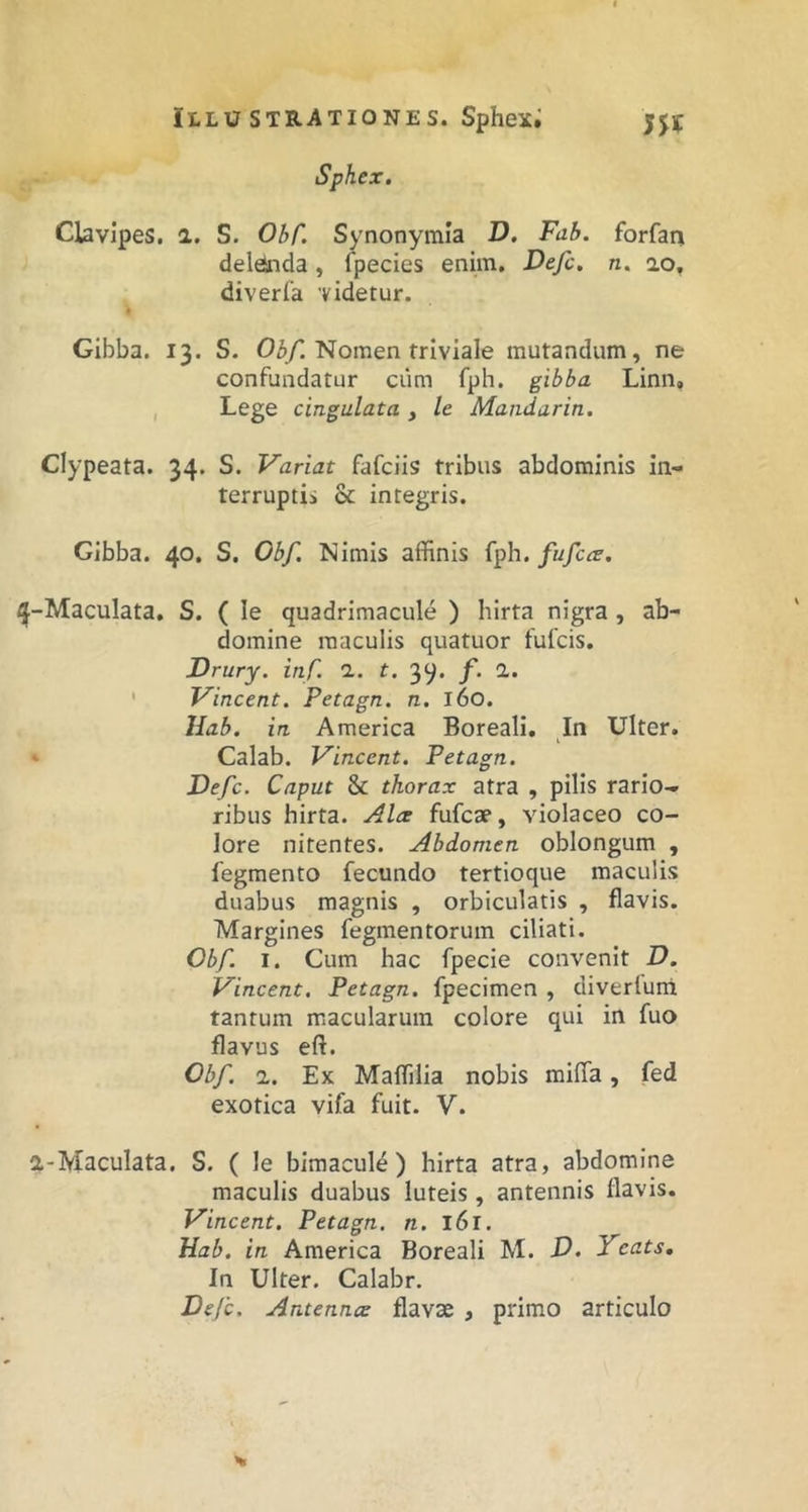 Sphex. Clavipes. a. S. Obf. Synonymia D. Fab. forfan deldnda, fpecies enim. Defc, n. ao, diverfa 'videtur. Gibba. 13. S. 03/1 Nomen triviale mutandum, ne confundatur ciim fph. gibba Linn, Lege cingulata , /e Mandar in. Clypeata. 34. S. Variat fafciis tribus abdominis in- terruptii & integris. Gibba. 40. S. Obf. Nimis affinis fph. fufccs. 4-Maculata, S. ( le quadrimacule ) hirta nigra , ab- domine maculis quatuor fufcis. Drury. inf. 1. t. 3^. f. 1. ' Vincent. Petagn. n. 160. llab. in America Boreali, In Ulter. ' Calab. Vincent. Petagn. Defc. Caput & thorax atra , pilis rario-» ribus hirta. Alce fufcae, violaceo co- lore nitentes. Abdomen oblongum , fegmento fecundo tertioque maculis duabus magnis , orbiculatis , flavis. Margines fegmentorum ciliati. Obf. I. Cum hac fpecie convenit D. Vincent. Petagn. fpecimen , divertuni tantum macularum colore qui in fuo flavus eft. Obf 1. Ex Maffilia nobis mifla, fed exotica vifa fuit. V. a-Maculata. S. ( le bimacul^) hirta atra, abdomine maculis duabus luteis, antennis flavis. Vincent. Petagn. n. l6r. Hab. in America Boreali M. D. Yeats. In Ulter. Calabr, Defc. Antennce flavae , primo articulo