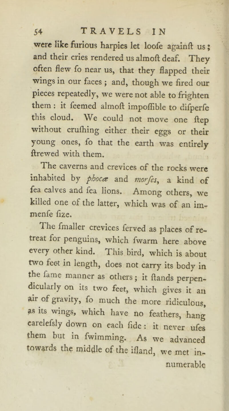 were like furious harpies let loofe againft us and their cries rendered us almoft deaf. They often flew fo near us, that they flapped their wings in our faces ; and, though we fired our pieces repeatedly, we were not able to frighten them : it feemed almoft impoffible to difperfe this cloud. We could not move one ftep without cruftiing either their eggs or their young ones, fo that the earth was entirely ftrewed with them. The caverns and crevices of the rocks were inhabited by phoca: and morfes, a kind of fea calves and fea lions. Among others, we killed one of the latter, which was of an im- menfe ftze. The fmaller crevices ferved as places of re- treat for penguins, which fwarm here above every other kind. This bird, which is about two fee-t in length, does not carry its body in the fame manner as others ; it ftands perpen- dicularly on its two feet, which gives it an air of gravity, fo much the more ridiculous, as Its wings, which have no feathers, hang carelefsly down on each fide : it never ufes them but in fwimming. As we advanced towards the middle of the ifland, we met in- numerable