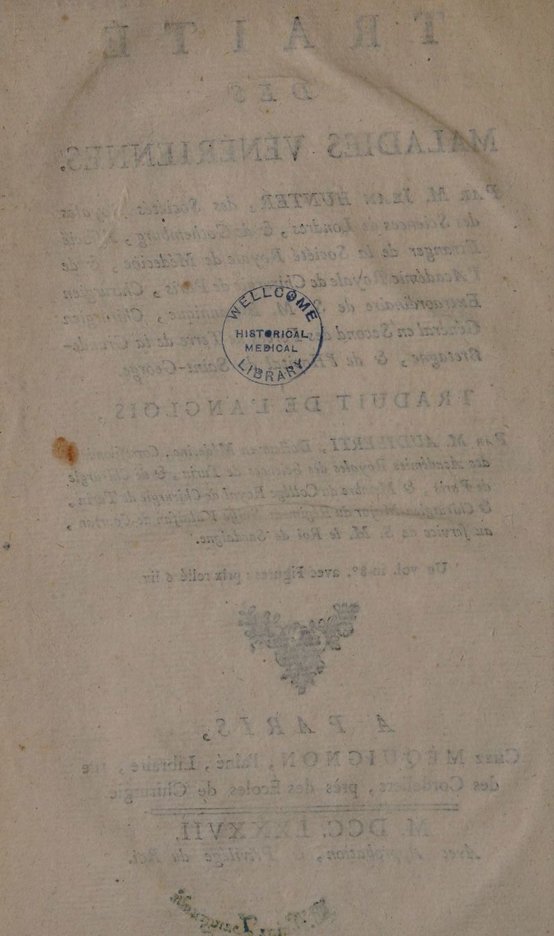jt \ NP UT pan (he ha ORNE ig Pen (a egy 3% Fa oe HER a a | ~ ook : en SE ‘ aa si si Ve ine?  Nag ot 2 = x “A ad si SA sat rity Fe Pasnortthied) aiase tt YE saci Ayman si 36 os Tye ae lat a Who . se she Ca rani vs os ( ist. ae st 4 ds $ Ne RQ Kw 9 SK os ait) D Pre vo NE Ste tt SE RTE rat TN OMR as. CURE der RTE HALLE Yee Deana pan Gris EE ns sb toh hi sis &amp; ward A = ax y ile: sai : agit a: 29VE bai der de : dt ee RE Sr oe ig eT
