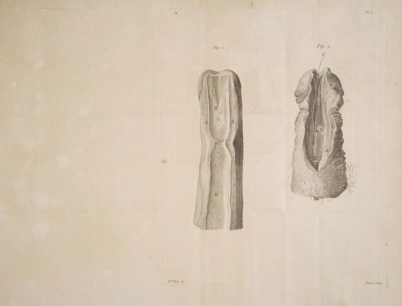 yy + Ui Yi ie Uy Ve Wii 71 ff \ASsss Ss LL, SS TT TT LEE = 22 LE ODDIE LL ALL = La wz Fz Aaa LL Ze eZ Wi ANN SEE LLL ilies 1j) Nr FAT > Dup in Seulp D mm