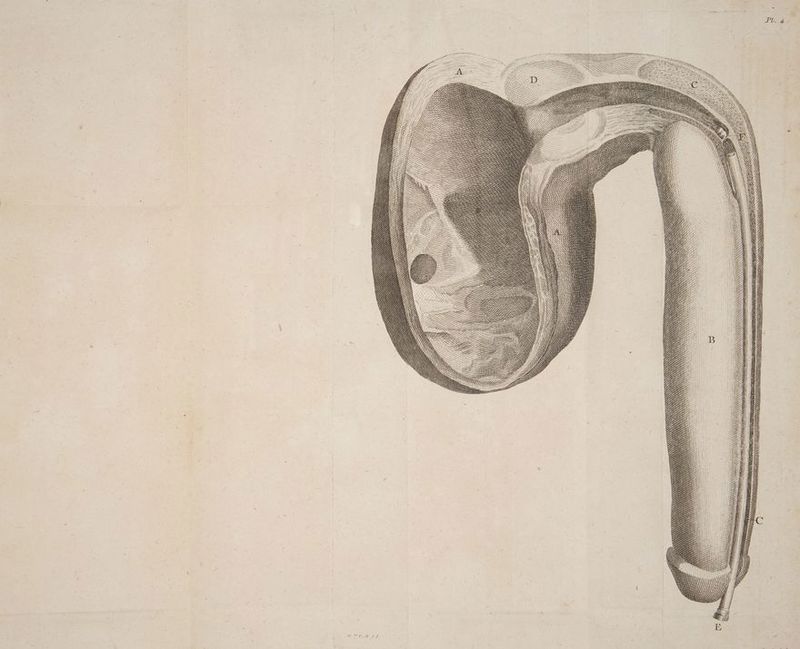 Se S RS SS ee : ee | = = = ———————————— SSS PR: ann SSS Se Se Ses SSS oe ee SR — nes “ : A et E ; Zed TN \ ‘YS N VI pate tf 2 2 iy, SSS D ELLE EA j f ee” ù TC PL ey ZZ LPF NY AN NX \\ NA KE Ÿ QUE ! ) Ny À i Hi wn ANON ——_ DON NENA 1? | { A I D) Wy ( ) i) ) | NS ) SAS / SSSR y Wy NW x) \ \ N \ \ S \ yy XR \| \ \
