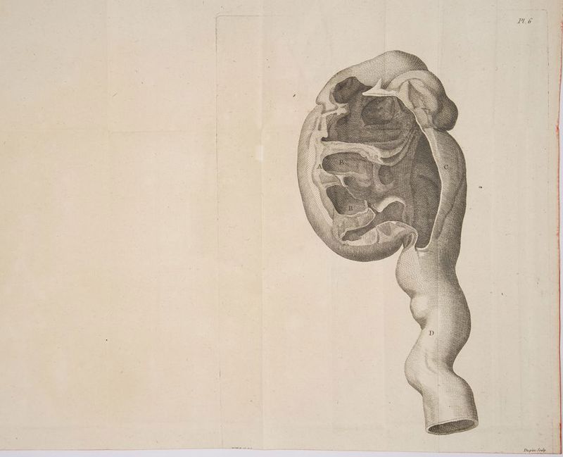 NL SE ae EHS x AN yi) 1, iy Hy) Y} 4, f i i) Y) SSS SSS ~~ SSS —SSSSSSSARK SS SS ip 7 LEH ey PTT S Sas SSS SSS LES ÈS SS == Ss Ss Yes SSSR SS SSS = = QU i) AL) Mh WZ Mi |, | 4 Ze LA UNE i Ie uh ; NY i À iH LE S IE LS Lh ht \ \ CZ WRRE N AN \\ Wy Vid Mh f À ES | | ) i | SSS ESS