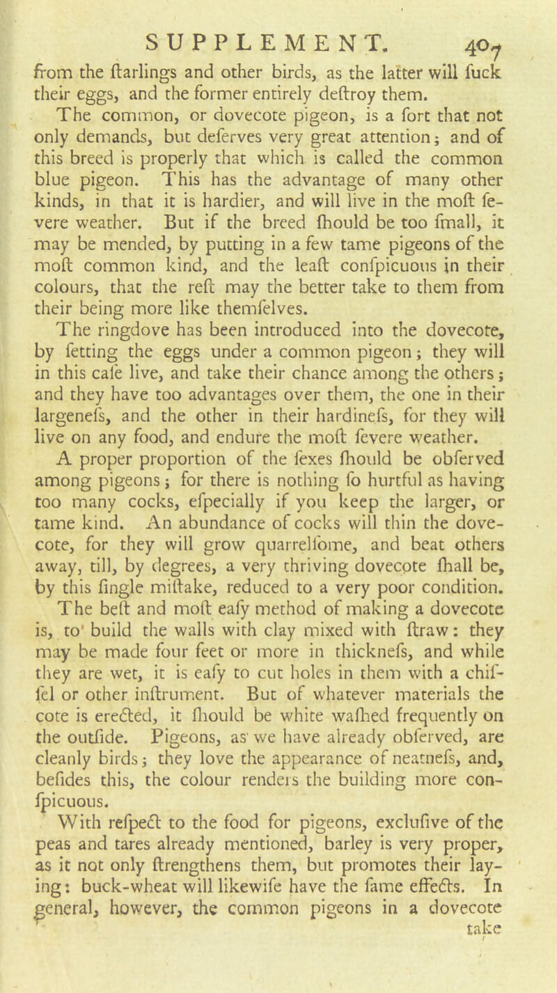 from the darlings and other birds, as the latter will fuck their eggs, and the former entirely deftroy them. The common, or dovecote pigeon, is a fort that not only demands, but deferves very great attention; and of this breed is properly that which is called the common blue pigeon. This has the advantage of many other kinds, in that it is hardier, and will live in the moft fe- vere weather. But if the breed fhould be too fmall, it may be mended, by putting in a few tame pigeons of the moft common kind, and the leaft confpicuous in their colours, that the reft may the better take to them from their being more like themfelves. The ringdove has been introduced into the dovecote, by fetting the eggs under a common pigeon; they will in this cafe live, and take their chance among the others; and they have too advantages over them, the one in their largenefs, and the other in their hardinefs, for they will live on any food, and endure the moft fcvere weather. A proper proportion of the fexes fliould be obferved among pigeons; for there is nothing fo hurtful as having too many cocks, efpecially if you keep the larger, or tame kind. An abundance of cocks will thin the dove- cote, for they will grow quarreliome, and beat others away, till, by degrees, a very thriving dovecote fhall be, by this fingle miftake, reduced to a very poor condition. The belt and moft eafy method of making a dovecote is, to' build the walls with clay mixed with ftraw: they may be made four feet or more in thicknefs, and while they are wet, it is eafy to cut holes in them w'ith a chif- fel or other inftrum.ent. But of whatever materials the cote is eredted, it fliould be white waftied frequently on the outfide. Pigeons, as' we have already obferved, are cleanly birds j they love the appearance of neatnefs, and, befides this, the colour renders the building more con- fpicuous. With refpedl to the food for pigeons, exclufive of the peas and tares already mentioned, barley is very proper, as it not only ftrengthens them, but promotes their lay- ‘ ing: buck-wheat will likewife have the fame effe61:s. In general, however, the common pigeons in a dovecote take