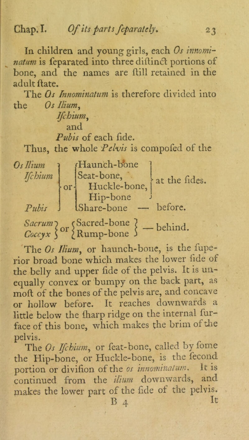 In children and young girls, each Os innomi- natum is feparated into three diflindl portions of bone, and the names are ftill retained in the adult Hate. The Os Tnnominatum is therefore divided into the Os Ilium, Jfchium, and Pubis of each fide. Thus, the whole Pelvis is compofed of the Os Ilium Ifchium Pubis or*: rHaunch-bhne Se«-b°,fV at the Tides. Huckle-bone, Hip-bone J Share-bone — before. Sacrum^ (Sacred-bone Coccyx 3 °r {Rump-bone — behind. The Os Ilium, or haunch-bone, is the fupe- rior broad bone which makes the lower iide of the belly and upper fide of the pelvis. It is un- equally convex or bumpy on the back part, as moft of the bones of the pelvis are, and concave or hollow before. It reaches downwards a little below the fharp ridge on the internal fur- face of this bone, which makes the brim of the pelvis. The Os Ifchium, or feat-bone, called by fome the Hip-bone, or Huckle-bone, is the fecond portion or divifion of the os innominatum. It is continued from the ilium downwards, and makes the lower part of the fide of the pelvis. B 4