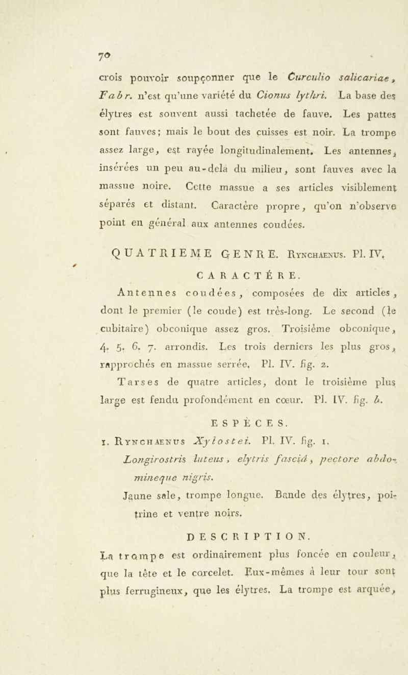 crois pouvoir soupçonner que le Curculio salicariae, F ab r. n’est qu’une variété du Cio?ius lythri. La base des élytres est souvent aussi tachetée de fauve. Les pattes sont fauves; mais le bout des cuisses est noir. La trompe assez large, est rayée longitudinalement. Les antennes i inserees un peu au-delà du milieu, sont fauves avec la massue noire. Cette massue a ses articles visiblement séparés et distant. Caractère propre, qu'on n'observe point en général aux antennes coudées. QUATRIEME GENRE. Rynchaenus. PI. IV. CARACTÈRE. Antennes coudées, composées de dix articles, dont le premier (le coude) est très-long. Le second (le cubitaire) obconique assez gros. Troisième obconique, 4. 5* 6. 7. arrondis. Les trois derniers les plus gros, rapprochés en massue serrée, PI. IV. fig. 2. Tarses de quatre articles, dont le troisième plus large est fendu profondément en coeur. PI. LY. fig. b. ESPÈCES. I, Rynchaenus Xylostei. PI. IY. fig. 1. Longirostris lut eus , elytris fasciâ, pectore abdo- mine que ni g ris. Jaune sale, trompe longue. Bande des élytres, poi- trine et ventre noirs. DESCRIPTION. La trompe est ordinairement plus foncée en couleurx que la tête et le corcelet. Eux-mêmes à leur tour sont plus ferrugineux, que les élytres. La trompe est arquée.