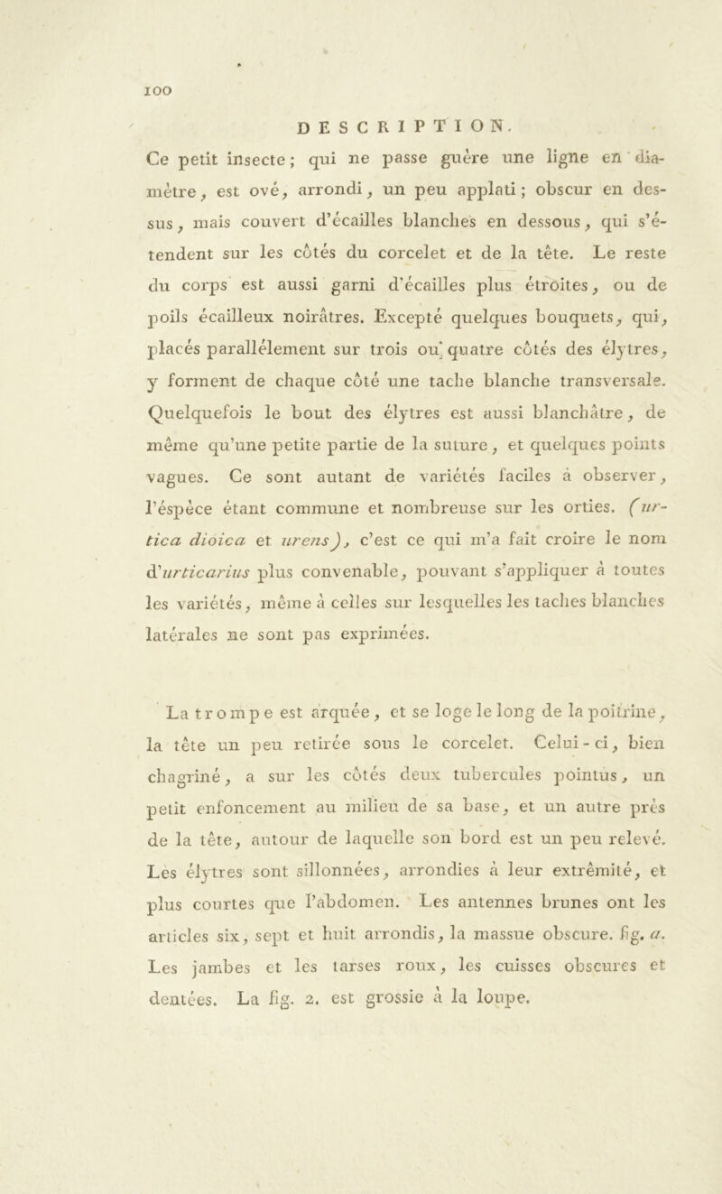 xoo description. Ce petit insecte ; qui ne passe guère une ligne en ' dia- mètre, est ové, arrondi, un peu applati ; obscur en des- sus , mais couvert d’écailles blanches en dessous, qui s’é- tendent sur les côtés du corcelet et de la tête. Le reste du corps est aussi garni d'écailles plus étroites, ou de poils écailleux noirâtres. Excepté quelques bouquets, qui, placés parallèlement sur trois ou* quatre cotés des élytres, y forment de chaque coté une tache blanche transversale. Quelquefois le bout des élytres est aussi blanchâtre, de même qu’une petite partie de la suture, et quelques points vagues. Ce sont autant de variétés faciles à observer, l’éspèce étant commune et nombreuse sur les orties. (ur- tica dioica et urens), c’est ce qui m’a fait croire le nom d'urticarius plus convenable, pouvant s’appliquer à toutes les variétés, même â celles sur lesquelles les taches blanches latérales ne sont pas exprimées. La trompe est arquée, et se loge le long de la poitrine, la tête un peu retirée sous le corcelet. Celui-ci, bien chagriné, a sur les cotés deux tubercules pointus, un petit enfoncement au milieu de sa base, et un autre près de la tête, autour de laquelle son bord est un peu relevé. Les élytres sont sillonnées, arrondies à leur extrémité, et plus courtes que l’abdomen. Les antennes brunes ont les articles six, sept et huit arrondis, la massue obscure, hg. a. Les jambes et les tarses roux, les cuisses obscures et dentées. La fig. 2. est grossie â la loupe.