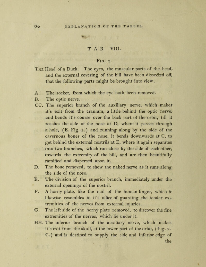 TAB. VIII. Fig. i. The Head of a Duck. The eyes, the muscular parts of the head, and the external covering of the bill have beeil disse6ted olF, that the following parts might be brought into view. A. The socket, from which the eye hath been removed. B. The optic nerve. CC. The superior branch of the auxiliary nerve, which makes it’s exit from the cranium, a little behind the optic nerve, and bends it’s course over the back part of the orbit, tili it reaches the side of the nose at D, where it passes through a hole, (E. Fig. 2.) and running along by the side of the cavernous bones of the nose, it bends downwards at C, to get behind the external nostrils at E, where it again separates into two branches, which run close by the side of each other, towards the extremity of the bill, and are then beautifully ramified and dispersed upon it. D. The bone removed, to shew the naked nerve as it runs alons: the side of the nose. E. The division of the superior branch, immediately under the external openings of the nostril. F. A horny plate, like the nail of the human finger, which it likewise resembles in it’s office of guarding the tender ex- tremities of the nerves from external injuries. G. The left side of the horny plate removed, to discover the fine extremities of the nerves, which lie under it. HH. The inferior branch of the auxiliary nerve, which makes it’s exit from the skull, at the lower part of the orbit, (Fig. 2. C.) and is destined to supply the side and inferior edge of the