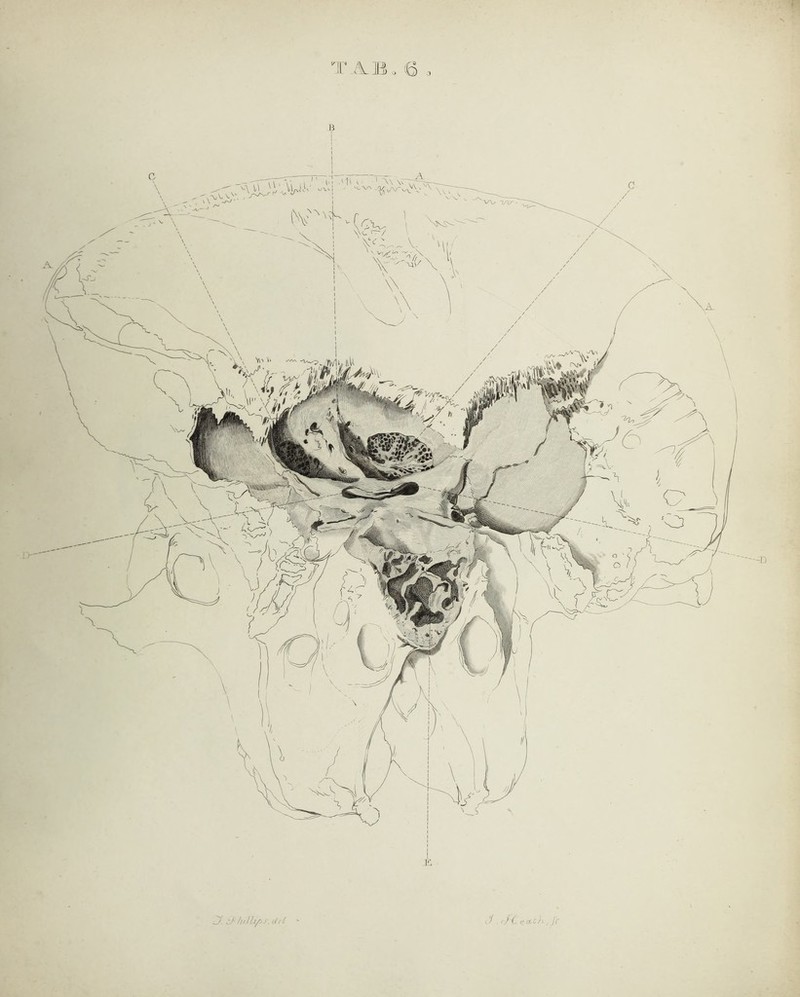 6 o C7. hrlhfty, (/rl J . J( eccthjc