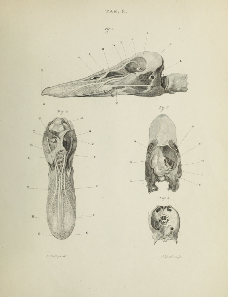 TAB cf.JZe/z tA, .rtzclfj.