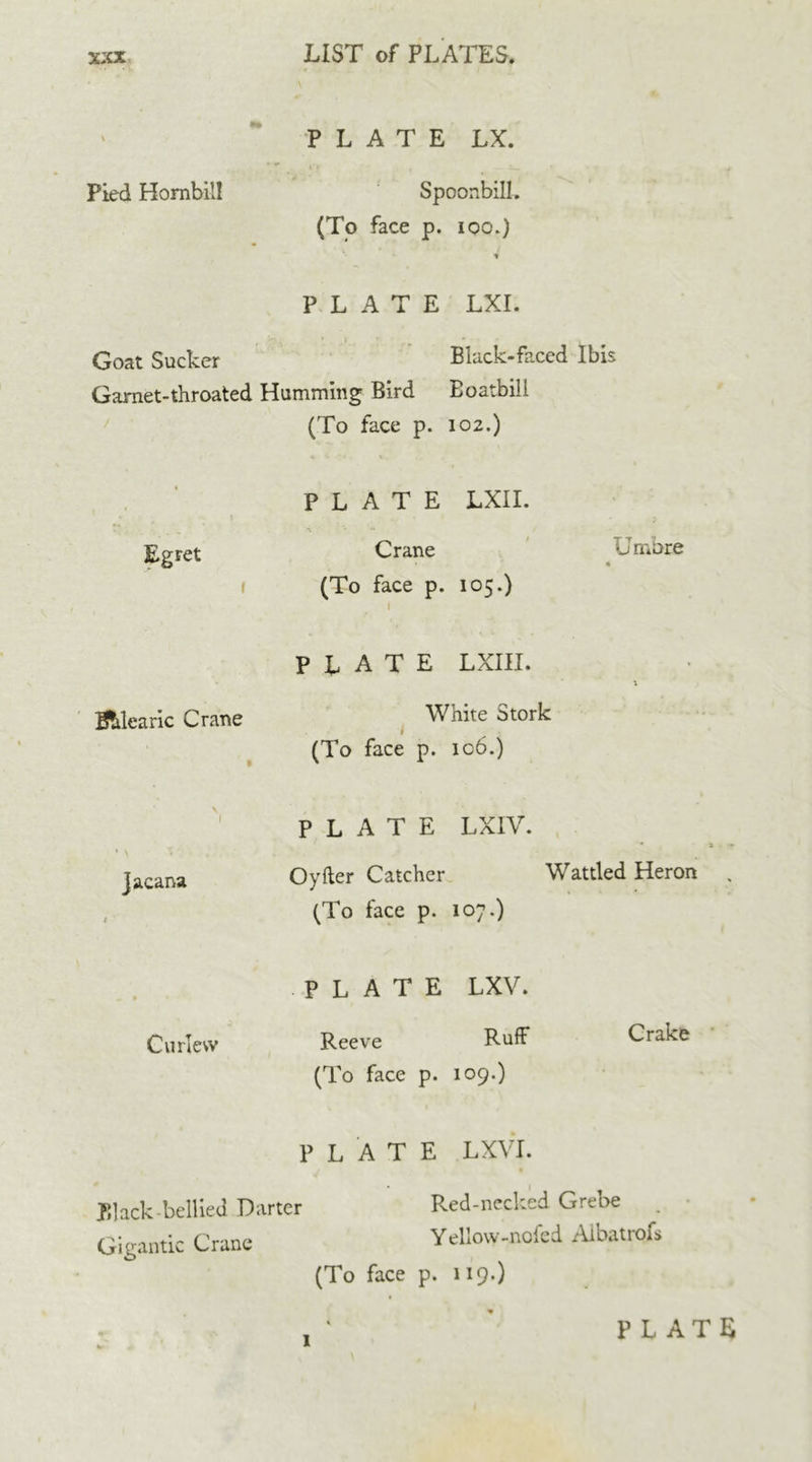 - \ PLATE LX. Pied Hornbill Spoonbill. (To face p. ioo.) PLATE LXI. Goat Sucker Black-faced Ibis Garnet-throated Humming Bird Boatbill (To face p. 102.) Egret 1 PLATE LXII. Crane (To face p. 105.) Umbre plate LXIII. Balearic Crane White Stork (To face p. 106.) jacana plate lxiv. * a Oyfter Catcher Wattled Heron , (To face p. 107.) Curlew PLATE LXV. Reeve Ruff (To face p. 109.) Crake PLATE LXVI. flack bellied Darter Red-necked Grebe Gigantic Crane Yeliow-nofed Aibatrofs (To face p. 119.) 1