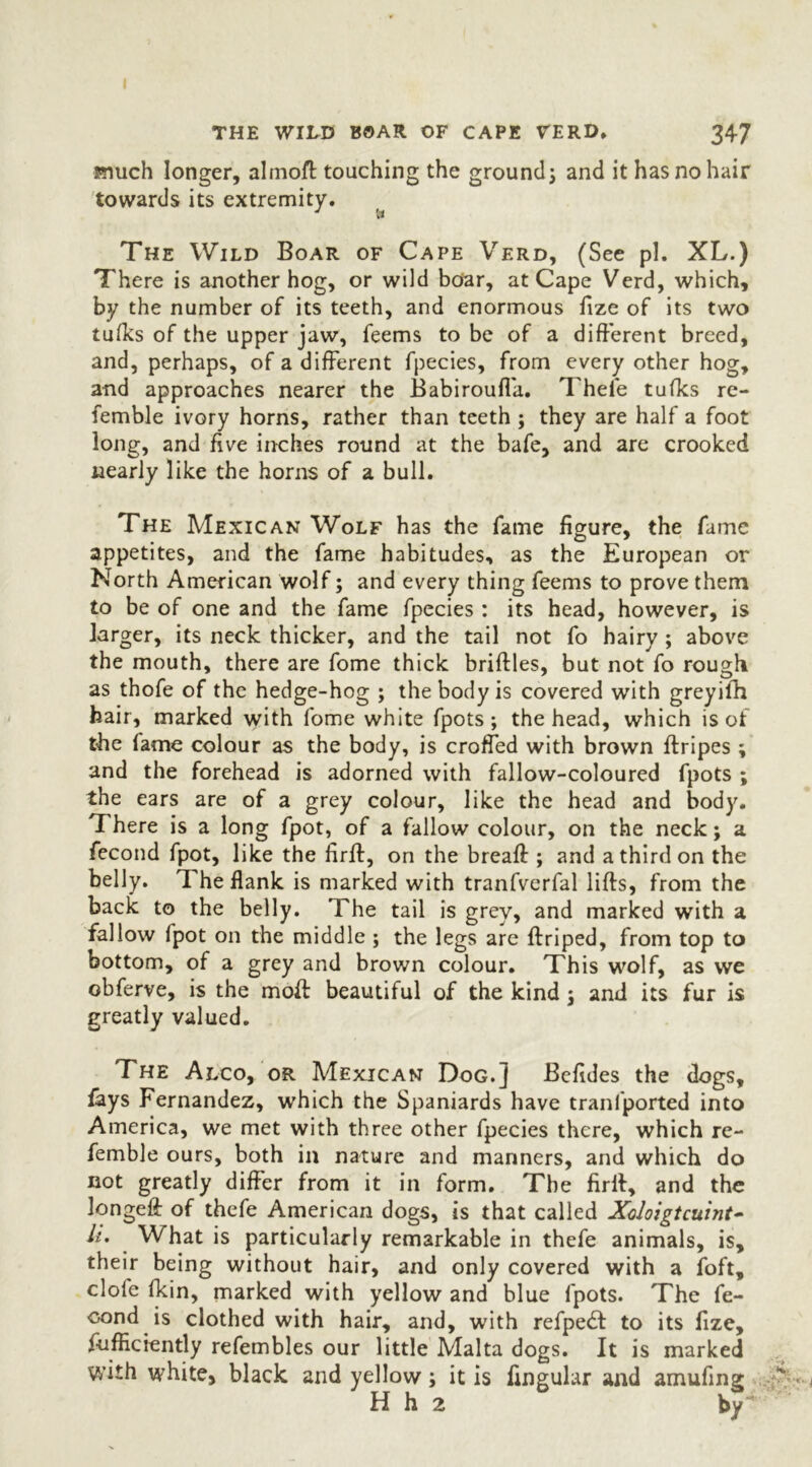 THE WILD BOAR OF CAPE 7ERD* 347 snuch longer, alinoft touching the ground j and it has no hair towards its extremity. The Wild Boar of Cape Verd, (See pi. XL.) There is another hog, or wild boar, at Cape Verd, which, by the number of its teeth, and enormous fize of its two tufks of the upper jaw, feems to be of a different breed, and, perhaps, of a different fpecies, from every other hog, and approaches nearer the Babirouffa. Thele tufks re- femble ivory horns, rather than teeth ; they are half a foot long, and five inches round at the bafe, and are crooked nearly like the horns of a bull. The Mexican Wolf has the fame figure, the fame appetites, and the fame habitudes, as the European or North American wolf; and every thing feems to prove them to be of one and the fame fpecies : its head, however, is larger, its neck thicker, and the tail not fo hairy ; above the mouth, there are fome thick briftles, but not fo rough as thofe of the hedge-hog ; the body is covered with greyifh hair, marked with fome white fpots; the head, which is of the lame colour as the body, is croffed with brown ftripes ; and the forehead is adorned with fallow-coloured fpots ; the ears are of a grey colour, like the head and body. There is a long fpot, of a fallow colour, on the neck; a fecond fpot, like the firft, on the breaft ; and a third on the belly. The flank is marked with tranfverfal lifts, from the back to the belly. The tail is grey, and marked with a fallow fpot on the middle ; the legs are ftriped, from top to bottom, of a grey and brown colour. This wolf, as we obferve, is the molt beautiful of the kind ; and its fur is greatly valued. The Alco, or Mexican Dog.] Befides the dogs, fays Fernandez, which the Spaniards have tranlported into America, we met with three other fpecies there, which re- femble ours, both in nature and manners, and which do not greatly differ from it in form. The firft, and the longeft of thefe American dogs, is that called Xoloigtcuint- li. What is particularly remarkable in thefe animals, is, their being without hair, and only covered with a foft, clofe fkin, marked with yellow and blue fpots. The fe- oond is clothed with hair, and, with refpedf to its fize, fufficiently refembles our little Malta dogs. It is marked with white, black and yellow; it is lingular and amufing .*} • H h 2 by