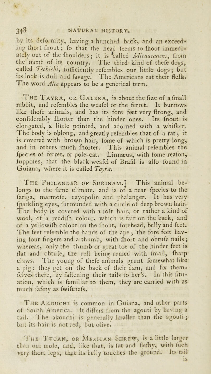 by its deformity, having a hunched back, and an exceed- ing fhort (nout; fo that the head feems to (hoot immedi- ately out of the (boulders; it is Called Micuacanens, from the name of its country. The third kind of thefe dogs, called 1Techichi, fufficiently refembles our little dogs; but its look is dull and favage. The Americans eat their fiefla. I he word Alco appears to be a generical term. The Tayra, or Galera, is about the fize of afmall rabbit, and refembles the weafel or the ferret. It burrows like thofe animals, and has its fore feet very ftrong, and confiderably (horter than the hinder ones. Its fnout is elongated, a little pointed, and adorned with a whifker. The body is oblong, and greatly refembles that of a rat; it is covered with brown hair, fome of which is pretty long, and in others much (horter. This animal refembles the fpecies of ferret, or pole-cat. Linnaeus, with fome reafon, fuppofes, that the black weafel of Brafil is alfo found in Guiana, where it is called Tayra, The Philander of Surinam.] This animal be- longs to the fame climate, and is of a near fpecies to the (ariga, marmofe, cayopolin and phalanger. It has very fparkling eyes, furrounded with a circle of deep brown hair. The body is covered with a foft hair, or rather a kind of wool, of a reddifh colour, which is fair on the back, and of a yellowifh colour on the fnout, forehead, belly and feet. The feet refemble the hands of the ape ; the fore feet hav- ing four fingers and a thumb, with fhort and obtufe nails; whereas, only the thumb or great toe of the hinder feet is flat and obtufe, the reft being armed with fmall, fharp claws. The young of thefe animals grunt fomewhat like a pig : they get on the back of their dam, and fix them- felves there, by fattening their tails to her’s. In this htu- ation, which is familiar to them, they are carried with as much fafety as fwiftnefs. The Akouchi is common in Guiana, and other parts of South America. It differs from the agouti by having a tail. The akouebi is generally fmaller than the agouti ; but its hair is not red, but olive. The Tucan, or Mexican Shrew, is a little larger than our mole, and, like that, is tat and flclhy, with fuch very (hurt legs, that its belly touches the ground. Its tail is