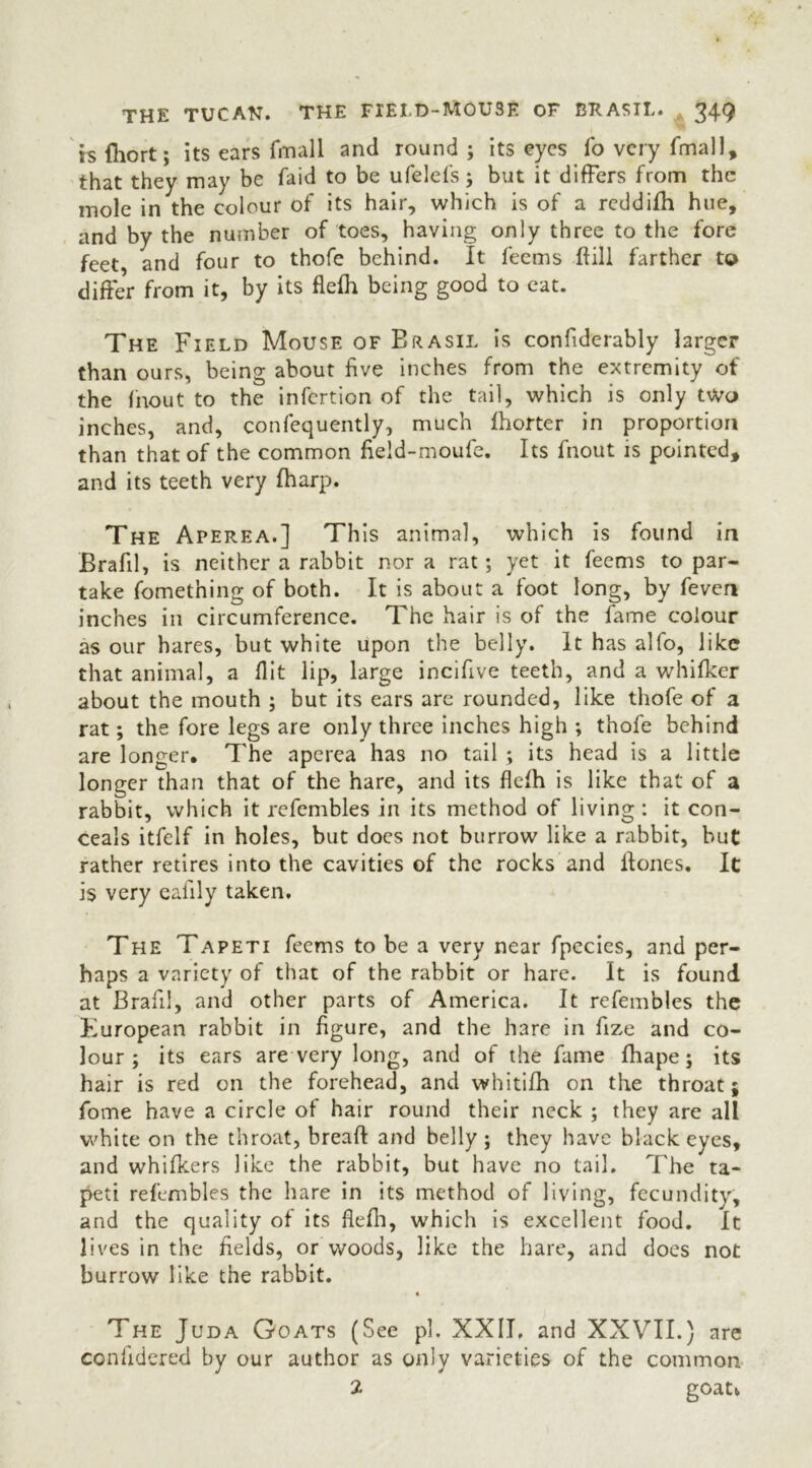 is fiiort; its ears fmall and round ; its eyes To very fmall, that they may be faid to be ufelefs; but it differs from the mole in the colour of its hair, which is of a reddifh hue, and by the number of toes, having only three to the fore feet and four to thofe behind. It feems ft ill farther to differ from it, by its flefh being good to eat. The Field Mouse of Brasil is confiderably larger than ours, being about five inches from the extremity of the fnout to the infertion of the tail, which is only two inches, and, confequently, much fhorter in proportion than that of the common field-moufe. Its fnout is pointed, and its teeth very (harp. The Aperea.] This animal, which is found in Brafil, is neither a rabbit nor a rat; yet it feems to par- take fomething of both. It is about a foot long, by feven inches in circumference. The hair is of the fame colour as our hares, but white upon the belly. It has alfo, like that animal, a flit lip, large incifive teeth, and a whifker about the mouth ; but its ears are rounded, like thofe of a rat; the fore legs are only three inches high ; thofe behind are longer. The aperea has no tail ; its head is a little longer than that of the hare, and its flefh is like that of a rabbit, which it refembles in its method of living: it con- ceals itfelf in holes, but does not burrow like a rabbit, but rather retires into the cavities of the rocks and Hones. It is very eafily taken. The Tapeti feems to be a very near fpecies, and per- haps a variety of that of the rabbit or hare. It is found at Brafil, and other parts of America. It refembles the European rabbit in figure, and the hare in fize and co- lour ; its ears are very long, and of the fame fhape; its hair is red on the forehead, and whitifh on the throat; fome have a circle of hair round their neck ; they are all white on the throat, breaft and belly; they have black eyes, and whifkers like the rabbit, but have no tail. The ta- peti refembles the hare in its method of living, fecundity, and the quality of its flefh, which is excellent food. It lives in the fields, or woods, like the hare, and does not burrow like the rabbit. « The Juda Goats (See pi. XXII, and XXVII.) are confidered by our author as only varieties of the common 2 goatv