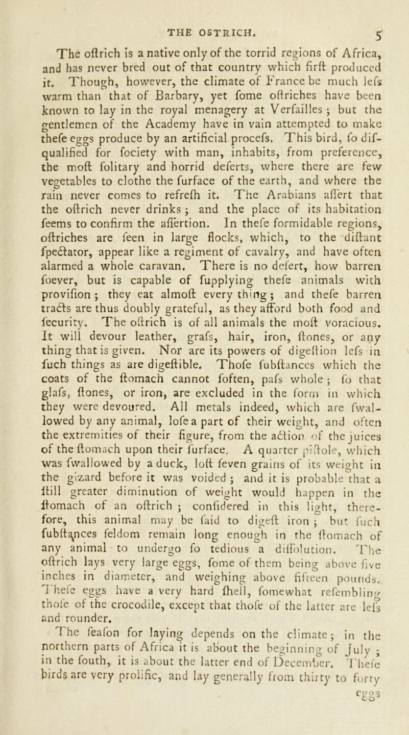 The oftrich is a native only of the torrid regions of Africa, and has never bred out of that country which fir ft produced it. Though, however, the climate of France be much lefs warm than that of Barbary, yet fome oftriches have been known to lay in the royal menagery at Verfailles ; but the gentlemen of the Academy have in vain attempted to make thefeeggs produce by an artificial procefs. This bird, fo dif- qualified for fociety with man, inhabits, from preference, the moft folitary and horrid deferts, where there are few vegetables to clothe the furface of the earth, and where the rain never comes to refrefh it. The Arabians afTert that the oftrich never drinks; and the place of its habitation feems to confirm the aftertion. In thefe formidable regions, oftriches are feen in large flocks, which, to the diftant fpedfator, appear like a regiment of cavalry, and have often alarmed a whole caravan. There is no defert, how barren foever, but is capable of fupplying thefe animals with provifion ; they eat almoft everything; and thefe barren tradfs are thus doubly grateful, as they afford both food and fecurity. The oftrich is of all animals the moft voracious. It will devour leather, grafs, hair, iron, ftones, or any thing that is given. Nor are its powers of digeftion lefs in l'uch things as are digeftible. Thofe fubftanccs which the coats of the ftomach cannot foften, pafs whole ; fo that glafs, ftones, or iron, are excluded in the form in which they were devoured. All metals indeed, which are fwal- lowed by any animal, lofea part of their weight, and often the extremities of their figure, from the adion of the juices of the ftomach upon their furface. A quarter piftole, which was fwal lowed by a duck, loft feven grains of its weight in the gizard before it was voided ; and it is probable that a Itill greater diminution of weight would happen in the ifomach of an oftrich ; confidered in this light, there- fore, this animal may be laid to digeft iron ; but fuch fubft^nces feldom remain long enough in the ftomach of any animal to undergo fo tedious a dilfolution. The oftrich lays very large eggs, fome of them being above five inches in diameter, and weighing above fifteen pounds. Thefe eggs have a very hard fhell, fomewhat refemblino- thofe of the crocodile, except that thofe of the latter are lefs and rounder. The feafon for laying depends on the climate; in the northern parts of Africa it is about the beginning of July ; in the fouth, it is about the latter end of December. Thefe birds are very prolific, and lay generally from thirty to forty