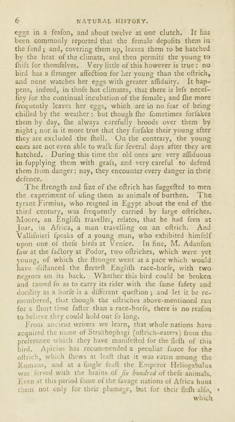 eggs in a feafon, and about twelve at one clutch. It h2s been commonly reported that the female depofits them in the fand ; and, covering them up, leaves them to be hatched by the heat of the climate, and then permits the young to fhift for themfelves. Very little of this however is true : no bird has a ftronger affection for her young than the oftrich, and none watches her eggs with greater aftiduity. It hap- pens, indeed, in thofe hot climates, that there is lefs necef- iity for the continual incubation of the female; and £he more frequently leaves her eggs, which are in no fear of being chilled by the weather: but though fhe fometimes forfakes them by day, file always carefully broods over them by night; nor is it more true that they forfake their young after they are excluded the fhell. On the contrary, the young ones are not even able to walk for feveral days after they are hatched. During this time the old ones are very affiduous in fupplying them with grafs, and very careful to defend them from danger: nay, they encounter every danger in their defence. The ftrength and fize of the oflrich has fuggefted to men the experiment of ufing them as animals of burthen. The tyrant Firmius, who reigned in Egypt about the end of the third century, was frequently carried by large oftriches. Moore, an Englifh traveller, relates, that he had feen at Joar, in Africa, a man travelling on an oftrich. And Vallifnieri fpeaks of a young man, w'ho exhibited himfelf upon one of thefe birds at Venice. In fine, M. Adanfon faw at the factory at Podor, two oftriches, which were yet young, of which the ftronger went at a pace which would have diftanced the fleeteft Englifh race-horfe, writh two negroes on its back. Whether this bird could be broken and tamed fo as to carry its rider with the fame fafety and docility as a horfe is a different queftion ; and let it be re- membered, that though the oftriches above-mentioned ran for a fliort time falter than a race-horfe, there is no reafon to believe they could hold out fo long. From ancient writers we learn, that whole nations have acquired the name of Striithophagi (oltrich-eaters) from the preference which they have manifeited for the ftefh of this bird. Apicius has recommended a peculiar fuuce for the oftrich, which Ihews at leaft that it was eaten among the Romans, and at a fingle fealt the Emperor Heliogabalus was l'ervcd with the brains of fix hundred of thele animals. Even at this period fome of the lavage nations of Africa hunt them not only for their plumage, but for their ftefh alfo, * which