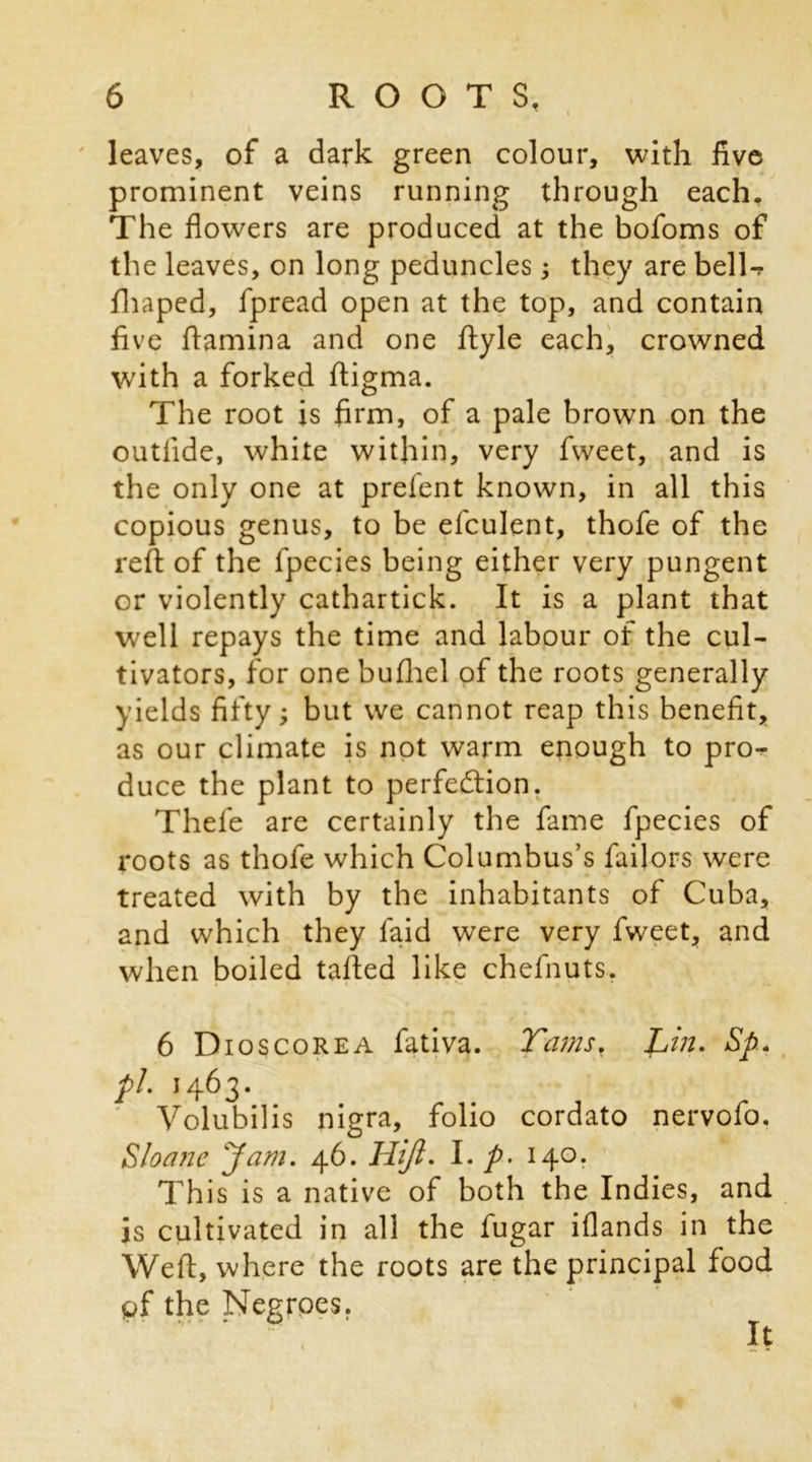leaves, of a dark green colour, with five prominent veins running through each. The flowers are produced at the bofoms of the leaves, on long peduncles; they are bell-r fhaped, fpread open at the top, and contain five ftamina and one ftyle each, crowned with a forked ftigma. The root is firm, of a pale brown on the outlide, white within, very fweet, and is the only one at prel'ent known, in all this copious genus, to be efculent, thofe of the reft of the fpecies being either very pungent or violently cathartick. It is a plant that well repays the time and labour of the cul- tivators, for one bufhel of the roots generally yields fifty; but we cannot reap this benefit, as our climate is not warm enough to pro- duce the plant to perfection. Thefe are certainly the fame fpecies of roots as thofe which Columbus’s Tailors were treated with by the inhabitants of Cuba, and which they faid were very fweet, and when boiled tafted like chefnuts. 6 Dioscorea fativa. Tams, Lin. Sp. pi. 1463. Volubilis nigra, folio cordato nervofo. Sloane Jam. 46. Hijl. I. p- 140. This is a native of both the Indies, and is cultivated in all the fugar iflands in the Weft, where the roots are the principal food of the Negroes. It