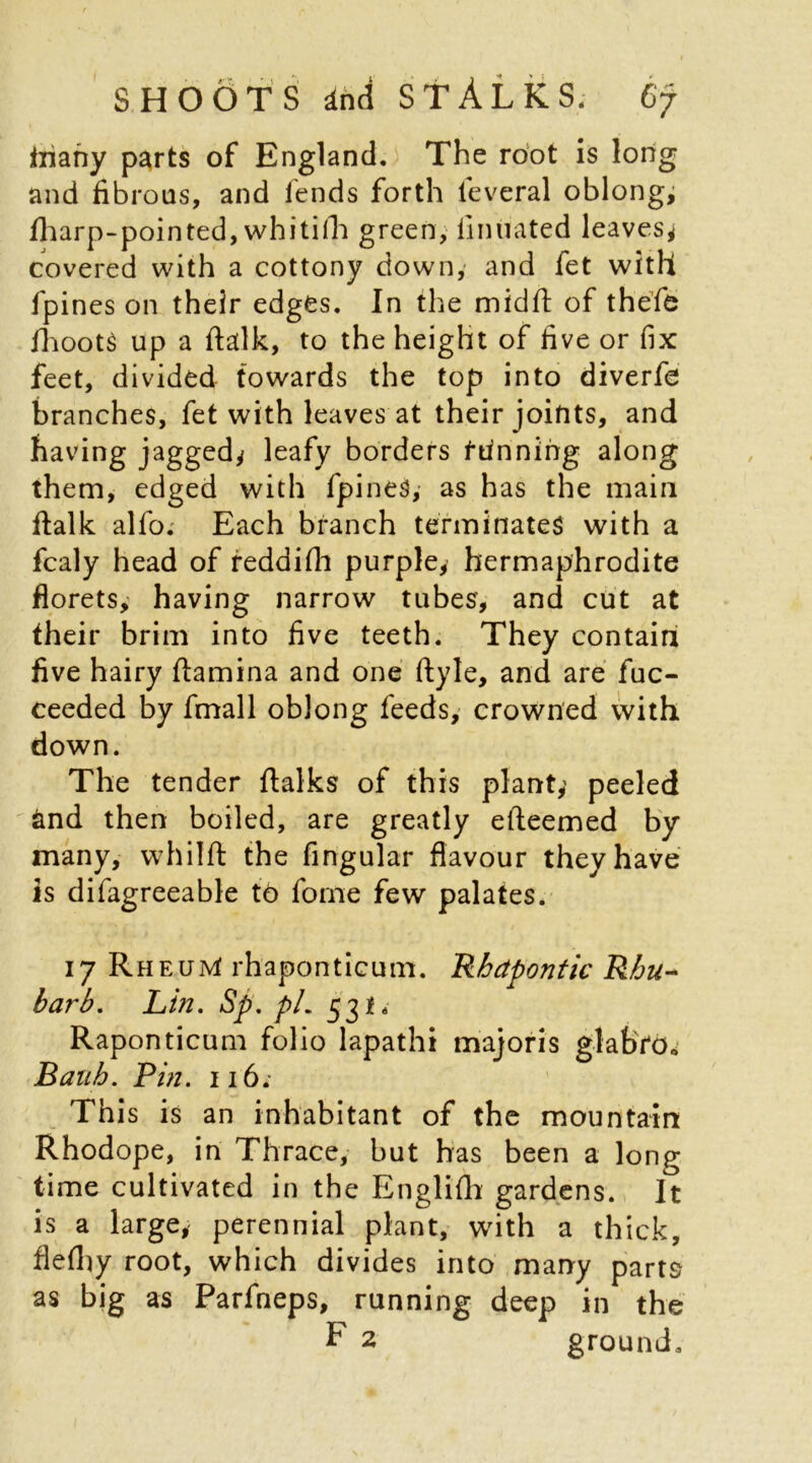 fnany parts of England. The root is long and fibrous, and fends forth leveral oblong; fharp-pointed, whitiih green, liniiated leaves; covered with a cottony down, and fet with fpines on their edges. In the m id ft of thefe fhoots up a ftalk, to the height of five or fix feet, divided towards the top into diverfe branches, fet with leaves at their joints, and having jagged; leafy borders tunning along them, edged with fpines, as has the main ftalk alfo. Each branch terminates with a fcaly head of reddifh purple; hermaphrodite florets, having narrow tubes, and cut at their brim into five teeth. They contain five hairy flamina and one ftyle, and are fuc- ceeded by fmall oblong feeds, crowned with down. The tender ftalks of this plant; peeled and then boiled, are greatly efteemed by many, whilft the Angular flavour they have is difagreeable to fome few palates. 17 RheuM rhaponticum. Rhdpontic Rhu- barb. Lin. Sp. pi. 53 f* Raponticum folio lapathi majoris glabYo. Bauh. Pin. 116. This is an inhabitant of the mountain Rhodope, in Thrace, but has been a long time cultivated in the Englifh gardens. It is a large, perennial plant, with a thick, flefhy root, which divides into many parts as big as Parfneps, running deep in the F 2 ground.