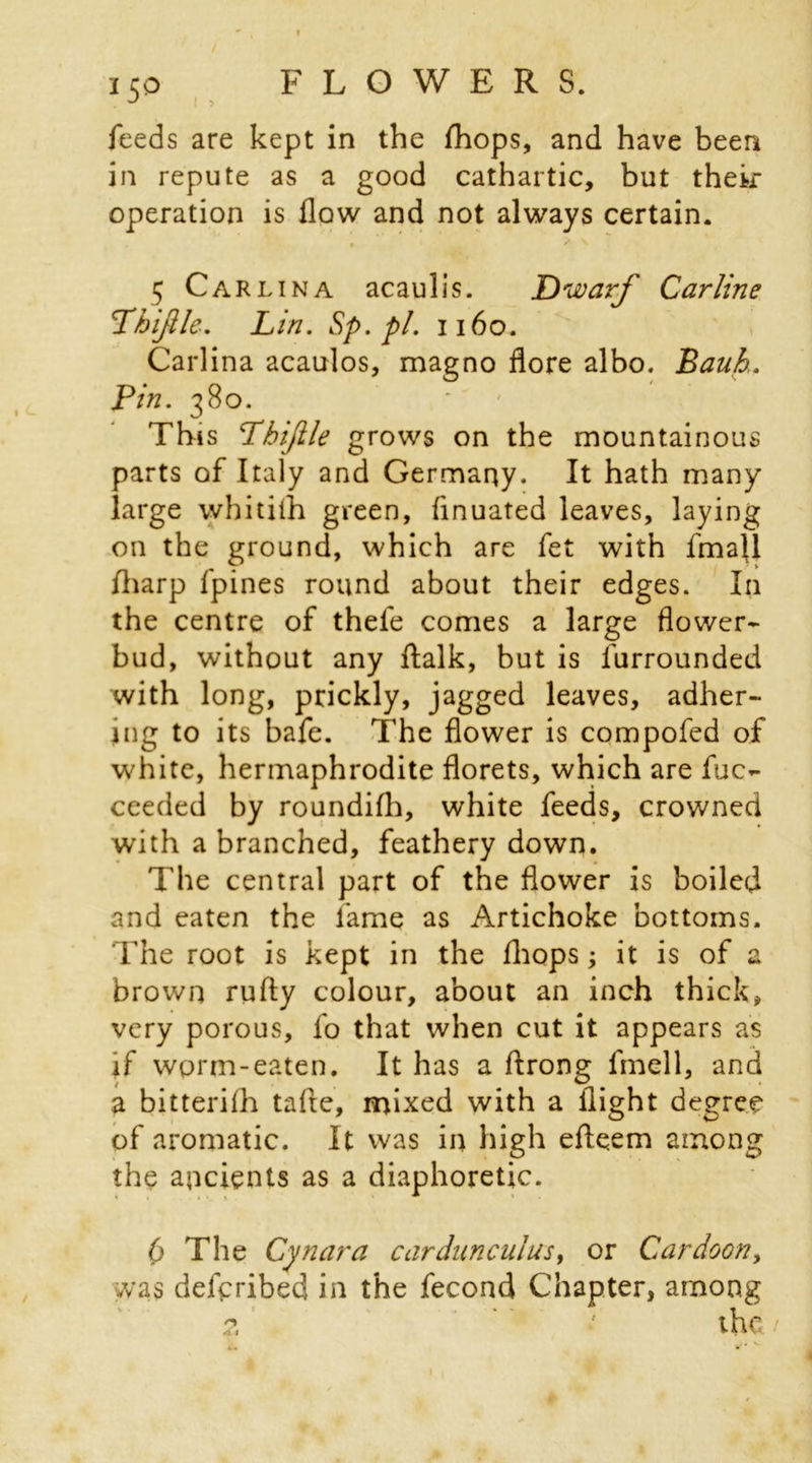 feeds are kept in the fhops, and have been in repute as a good cathartic, but their operation is flow and not always certain. 5 Car lina acaulis. Dwarf Car line \Thijlle. Lin. Sp.pl. 1160. Carlina acaulos, magno flore albo. Bauh. Pin. 380. This Lbifile grows on the mountainous parts of Italy and Germany. It hath many large whitith green, flnuated leaves, laying on the ground, which are fet with fmall fharp fpines round about their edges. In the centre of thefe comes a large flower* bud, without any flalk, but is furrounded with long, prickly, jagged leaves, adher- ing to its bafe. The flower is compofed of white, hermaphrodite florets, which are fuc- ceeded by roundifh, white feeds, crowned with a branched, feathery down. The central part of the flower is boiled and eaten the fame as Artichoke bottoms. The root is kept in the fhops; it is of a brown rufty colour, about an inch thick, very porous, fo that when cut it appears as if wprm-eaten. It has a ftrong fmell, and a bitterifh tafie, mixed with a flight degree of aromatic. It was in high efle.em among the ancients as a diaphoretic. 0 The Cynara cardunculus, or Cardoon, was delcribed in the fecond Chapter, among the .11