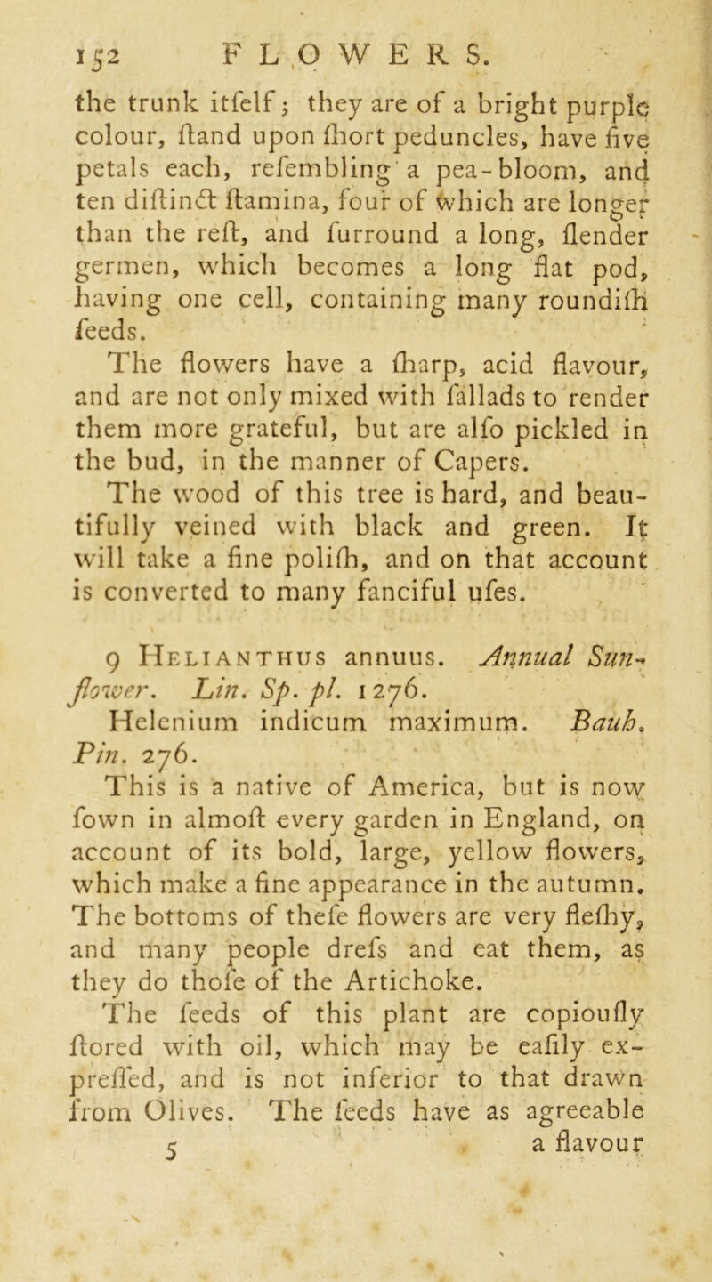 the trunk itfelf; they are of a bright purple colour, (land upon fhort peduncles, have five petals each, refembling a pea-bloom, and ten diftinflamina, four of which are longer \ O w than the reft, and furround a long, (lender germen, which becomes a long flat pod, having one cell, containing many roundifti feeds. The flowers have a (harp, acid flavour, and are not only mixed with fallads to render them more grateful, but are alfo pickled in the bud, in the manner of Capers. The wood of this tree is hard, and beau- tifully veined with black and green. It will take a fine polifh, and on that account is converted to many fanciful ufes. 9 Helianthus annuus. Annual Sun- flower. Lin. Sp.pl. 1276. Helenium indicum maximum. Bauh. Pin. 276. This is a native of America, but is now fown in almoft every garden in England, on account of its bold, large, yellow flowers, which make a fine appearance in the autumn. The bottoms of thefe flowers are very fleftiy, and many people drefs and eat them, as they do thole of the Artichoke. The feeds of this plant are copioufly ftored with oil, which may be eafily ex- prefled, and is not inferior to that drawn from Olives. The feeds have as agreeable 5 a flavour